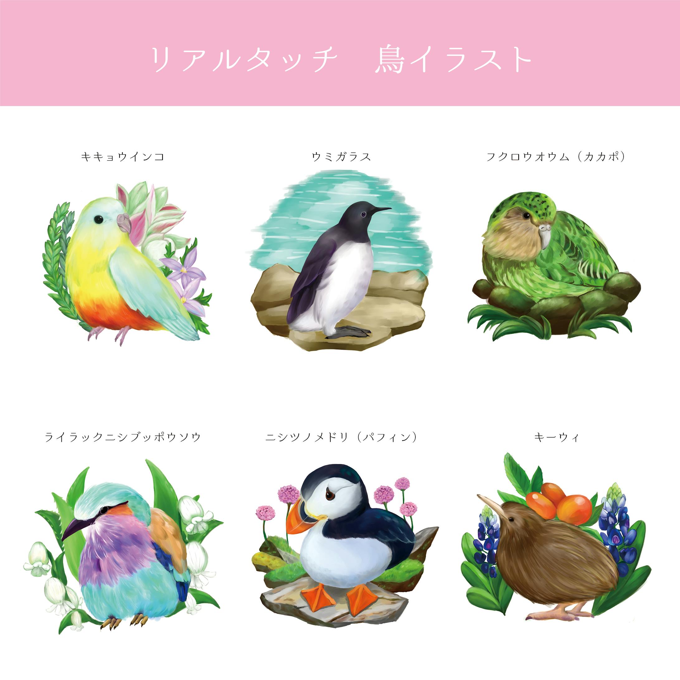 鳥類イラスト リアルタッチ 鳥類イラスト リアルタッチ