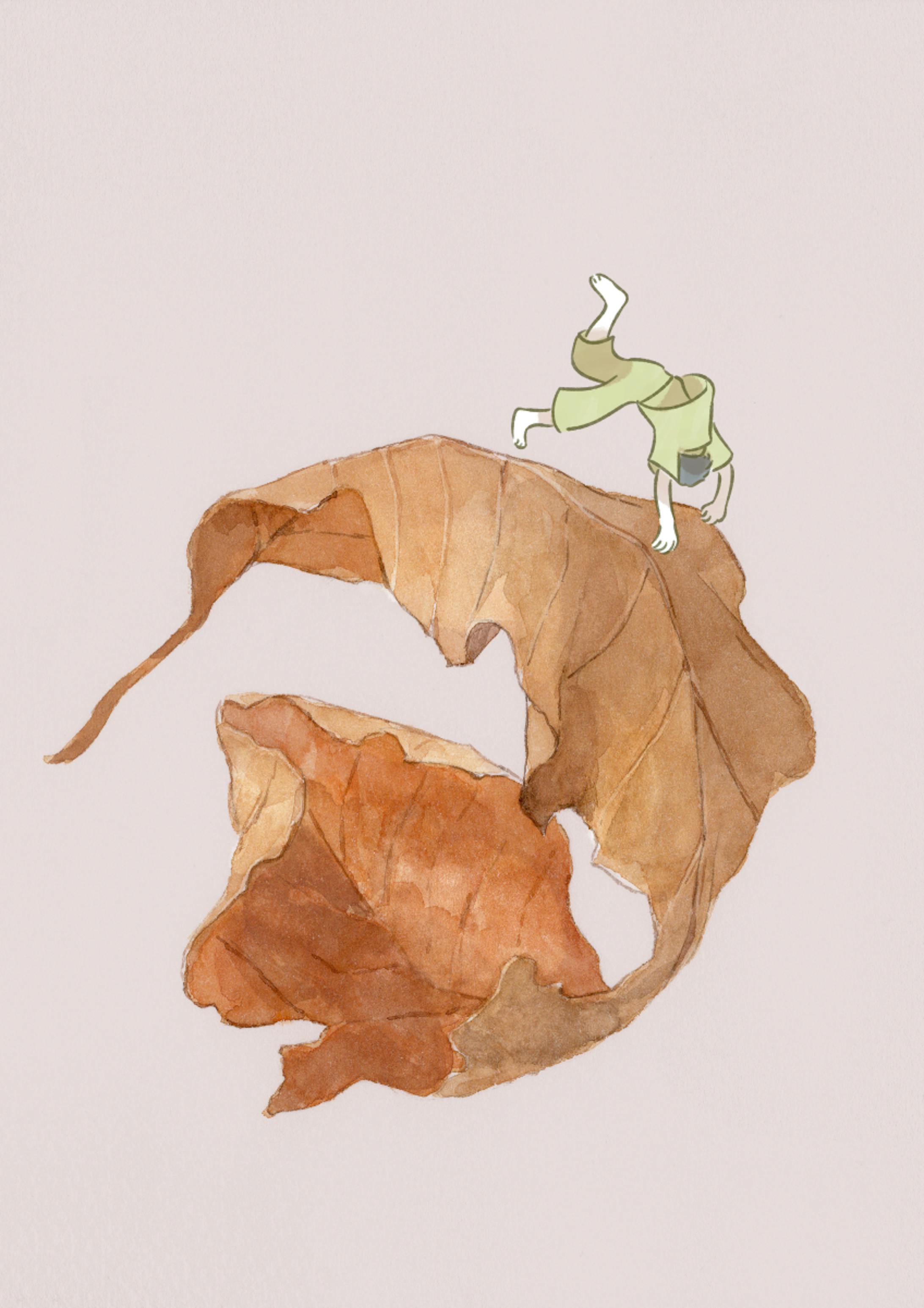 枯れ葉のイラスト 9作品