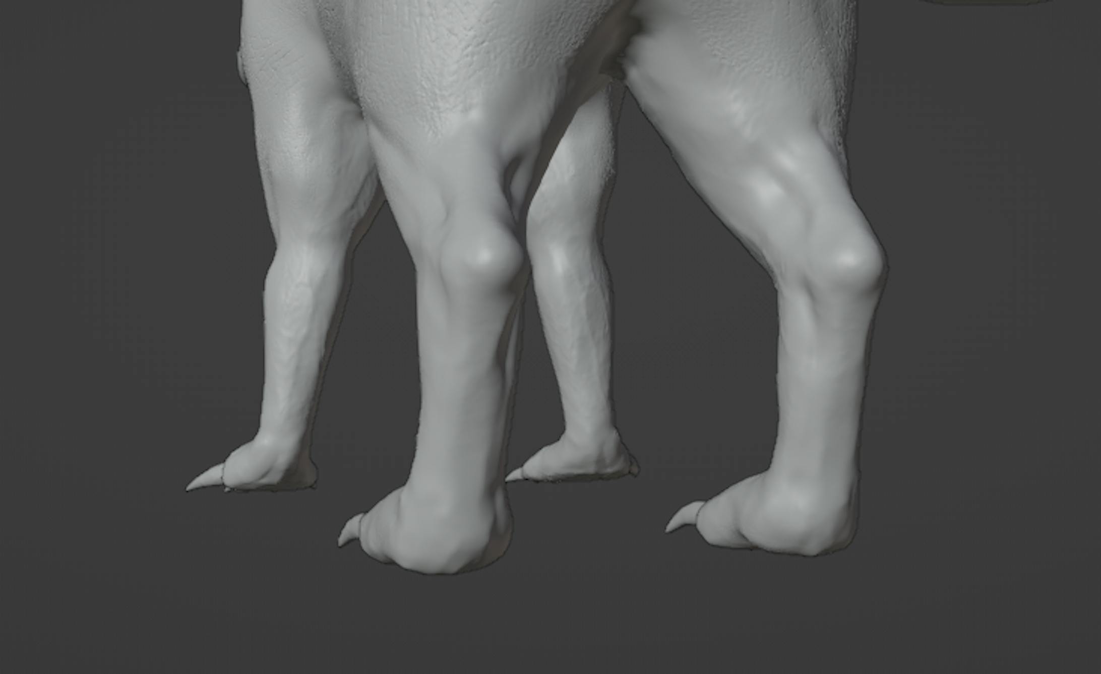 後ろ足は骨と筋が出やすい部分なのでどこが出っ張ってるところか窪んでるのかよく見て彫りました。