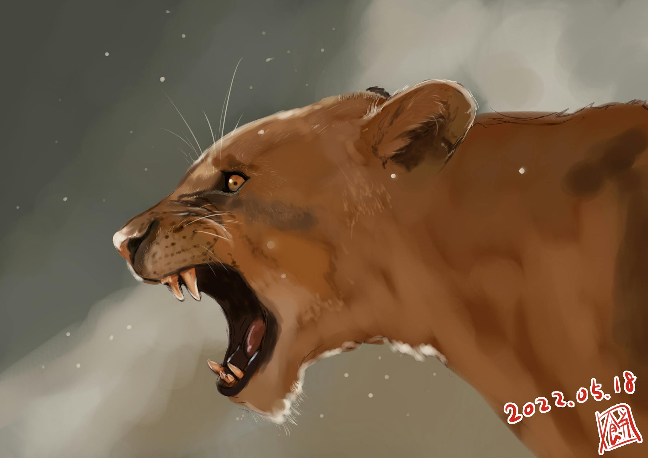 ライオン-1