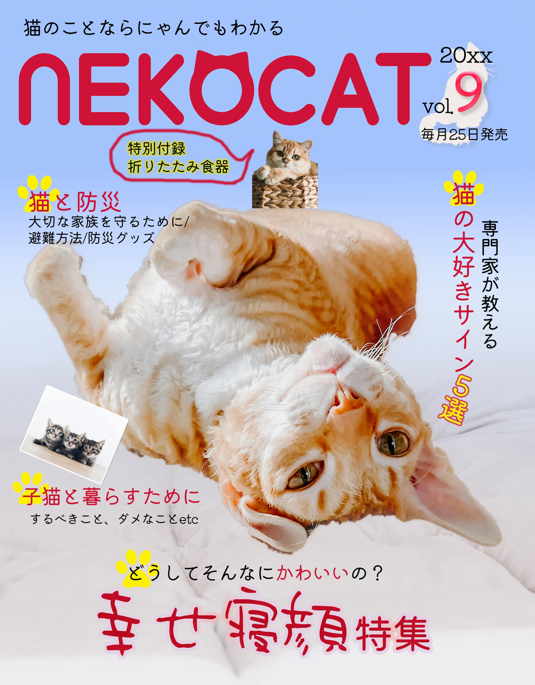 雑誌の表紙 -1