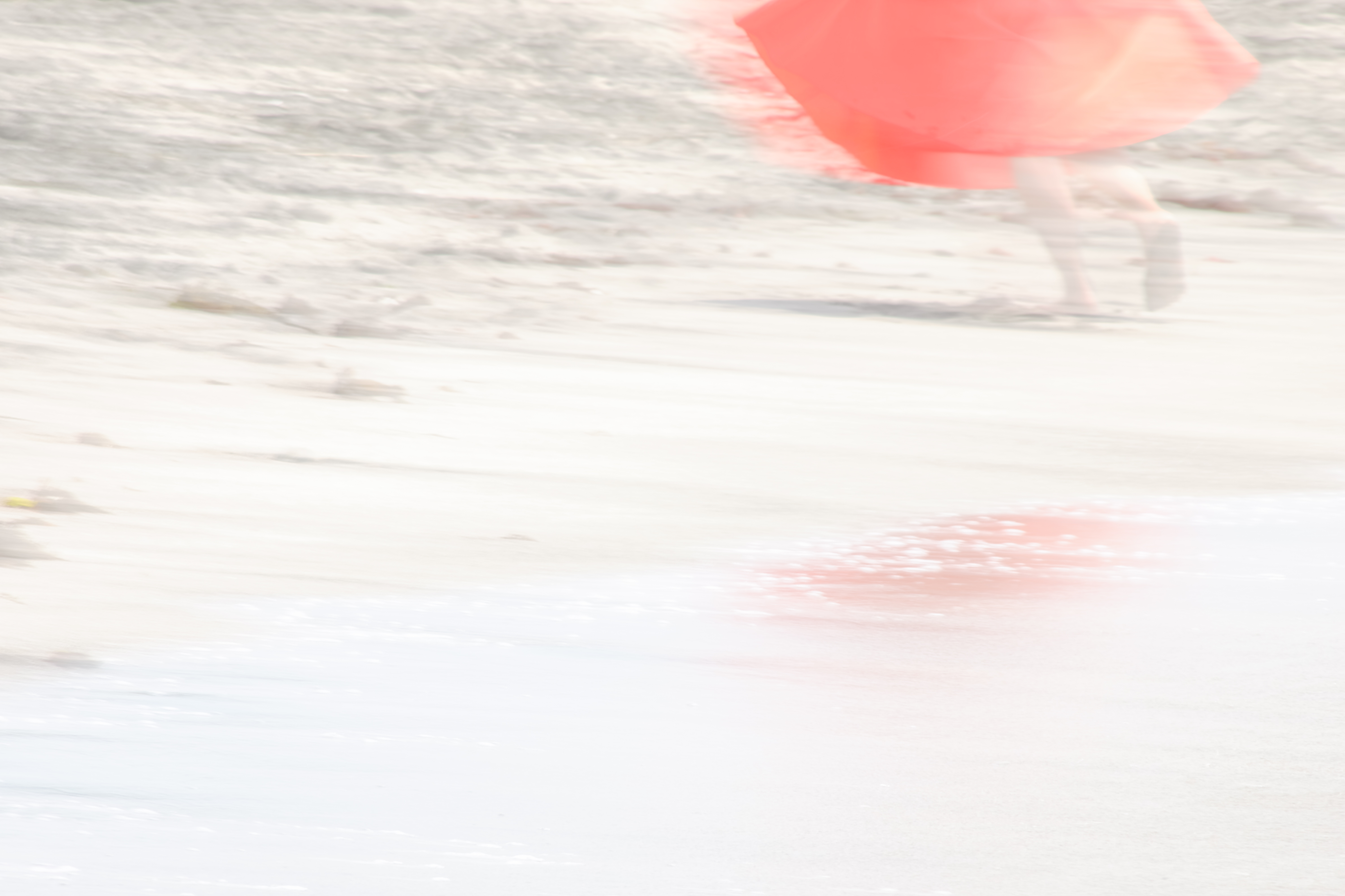 2019 横浜御苗場2019　展示作品-1