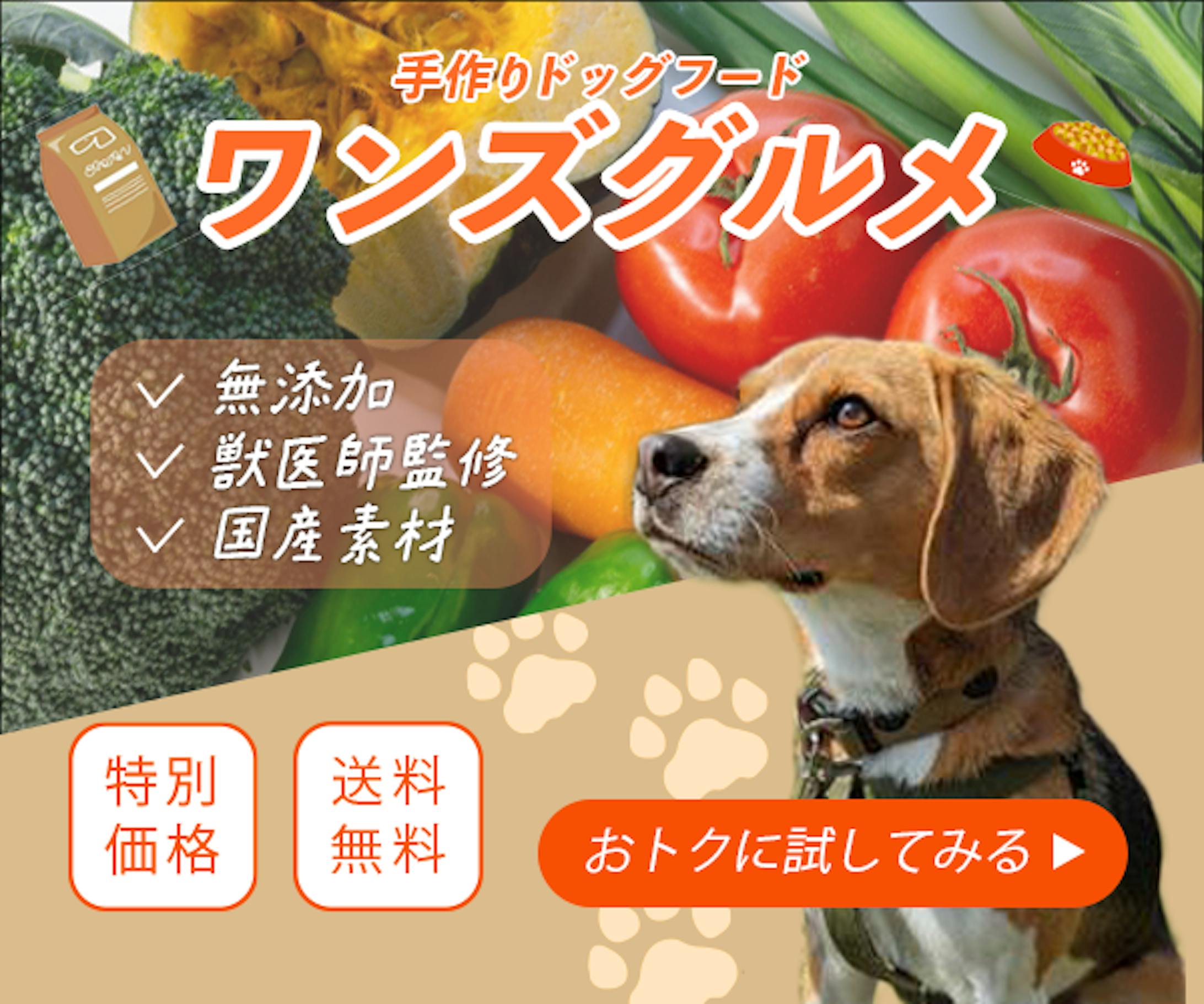 【ペットフード】　バナー-1