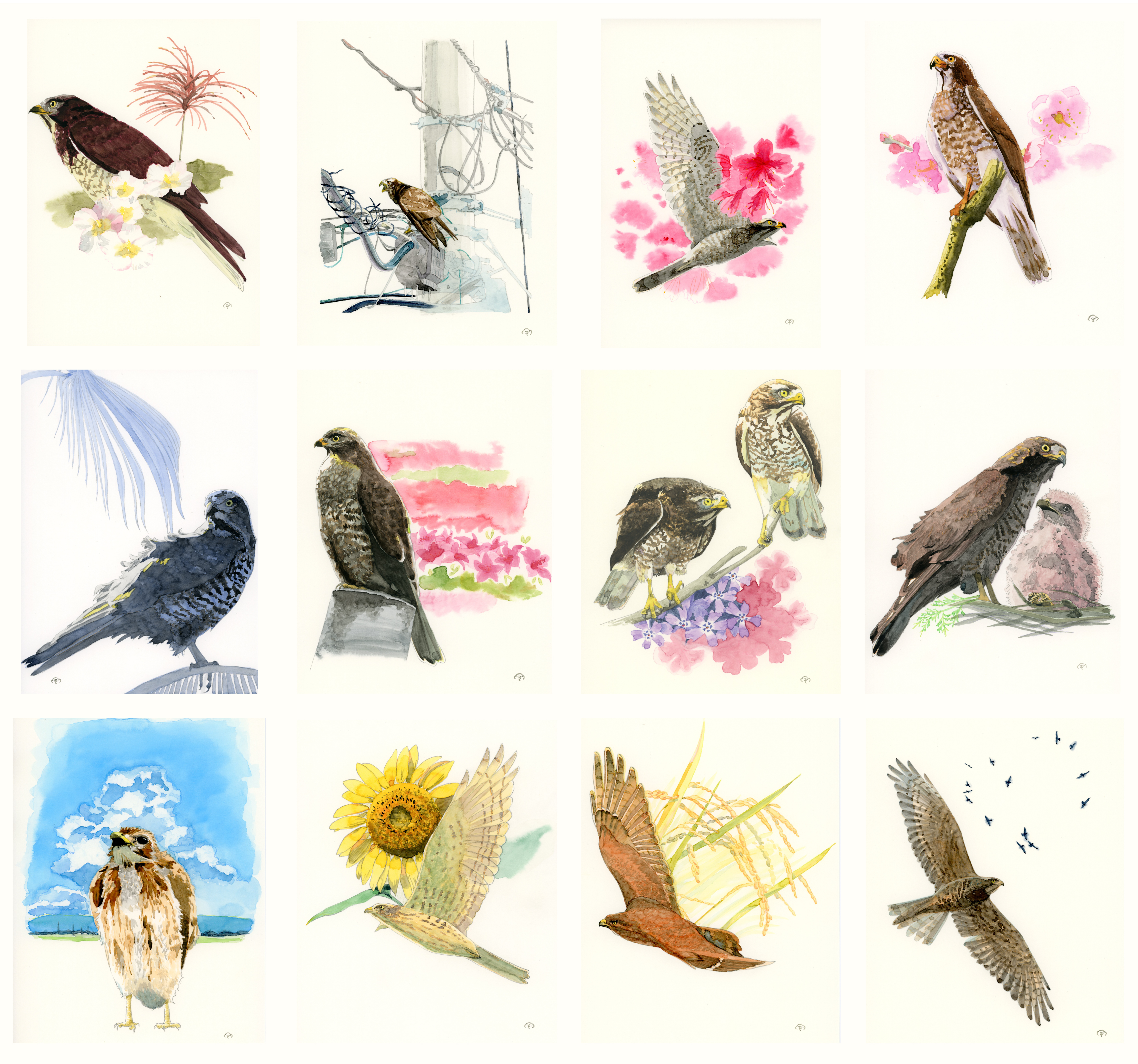 いきものイラスト-1