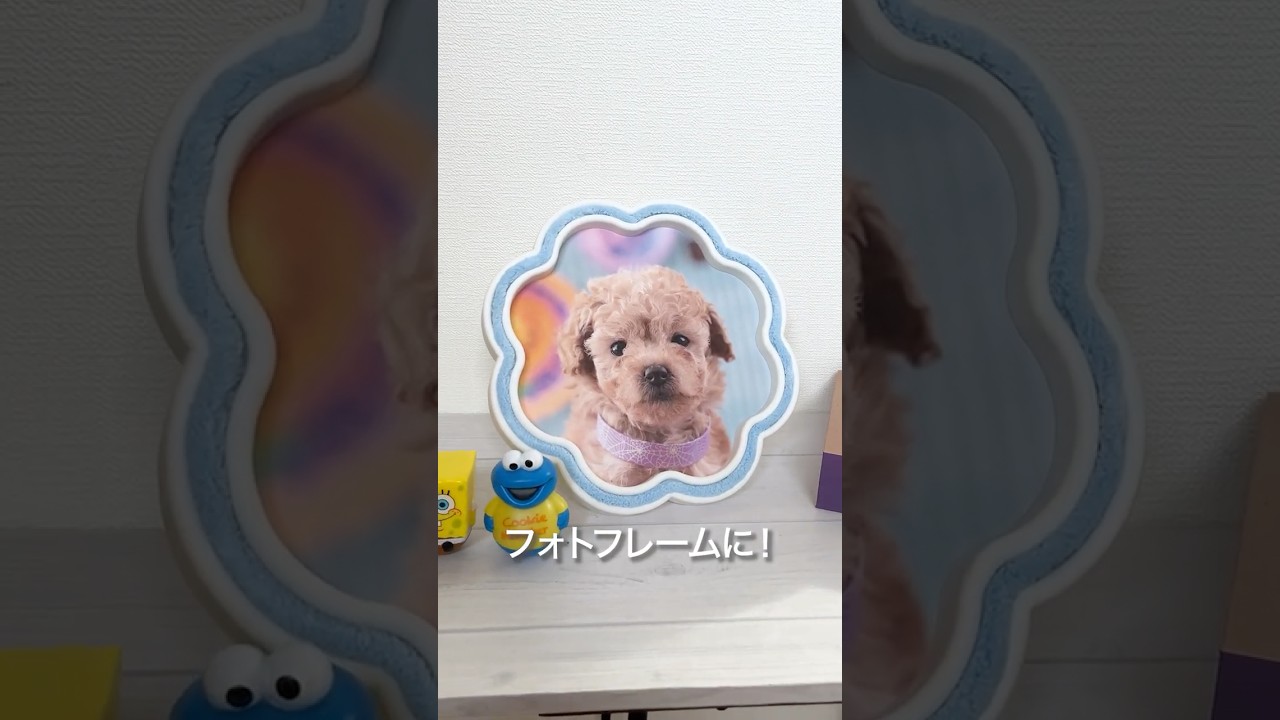 【100均】ダイソーのフラワーミラーが大変身！かわいい「じゃない使い方」３選✨