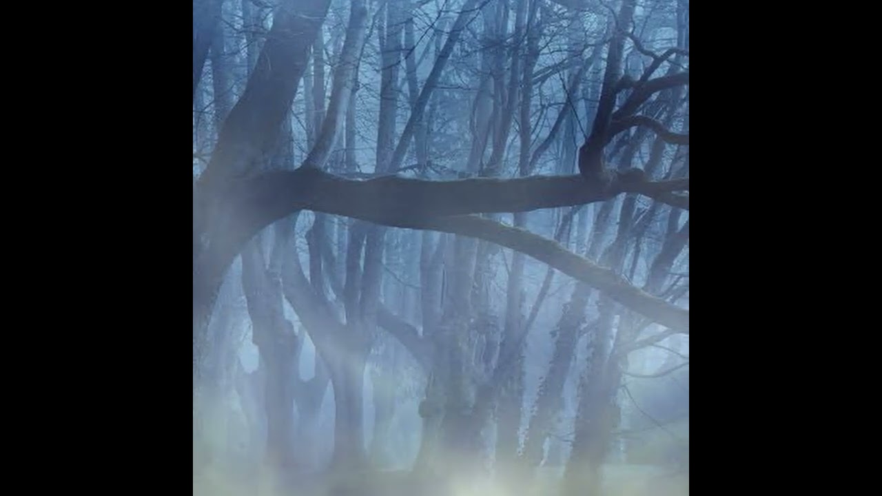 the seducing woods / 迷いの森