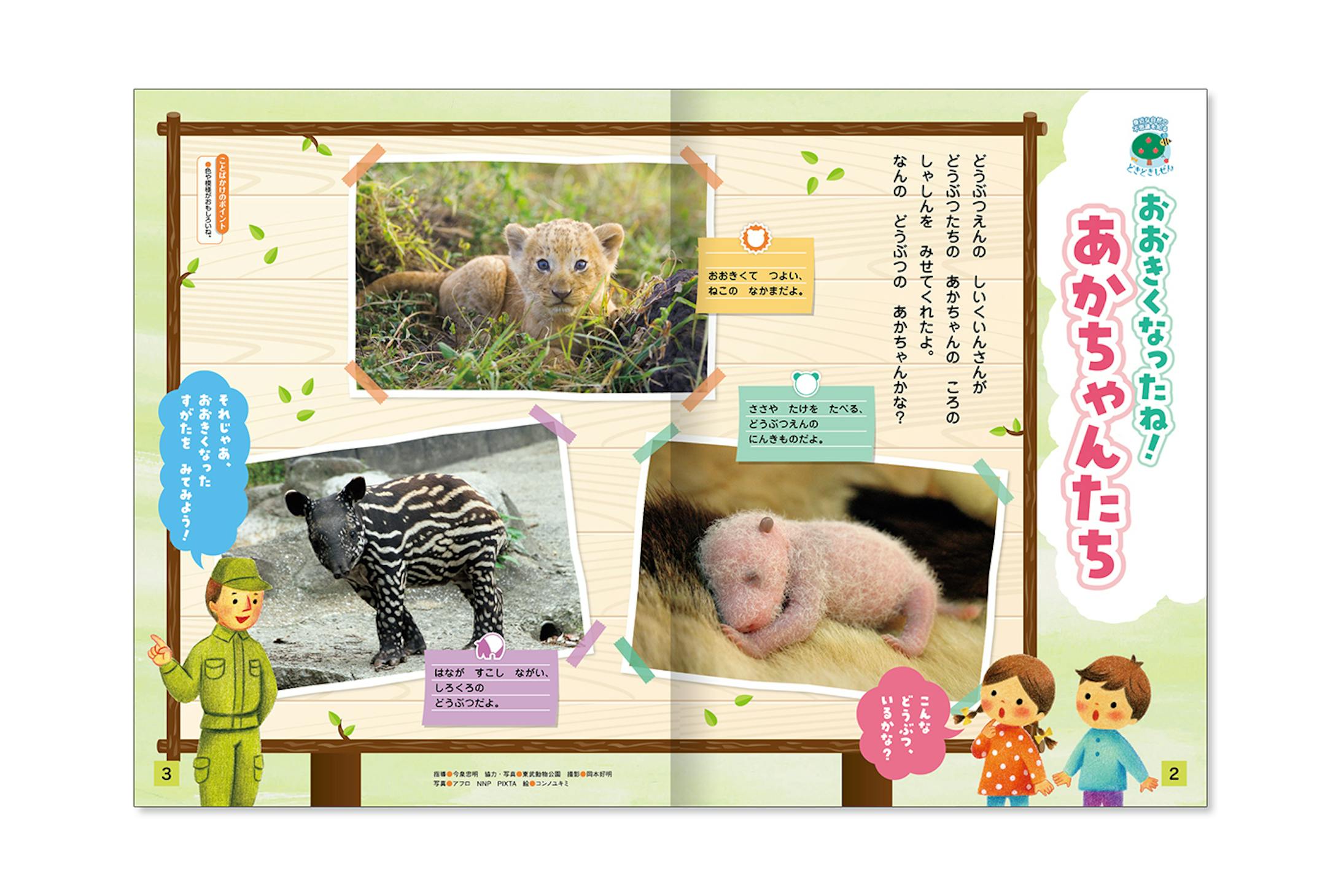 キンダーブック3
