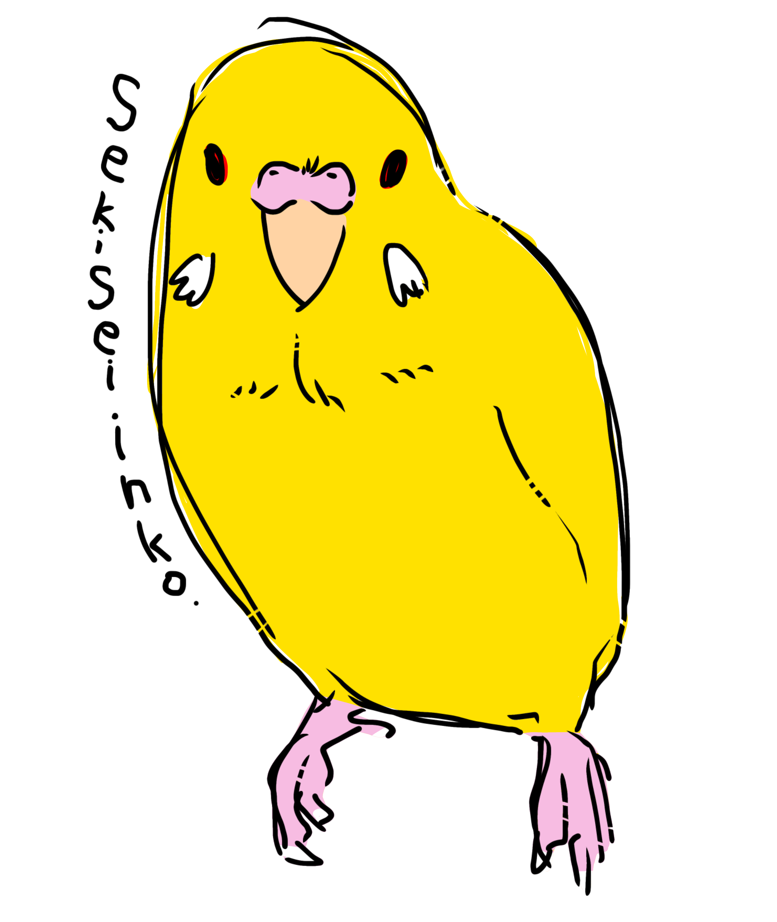 セキセイインコ ルチノー