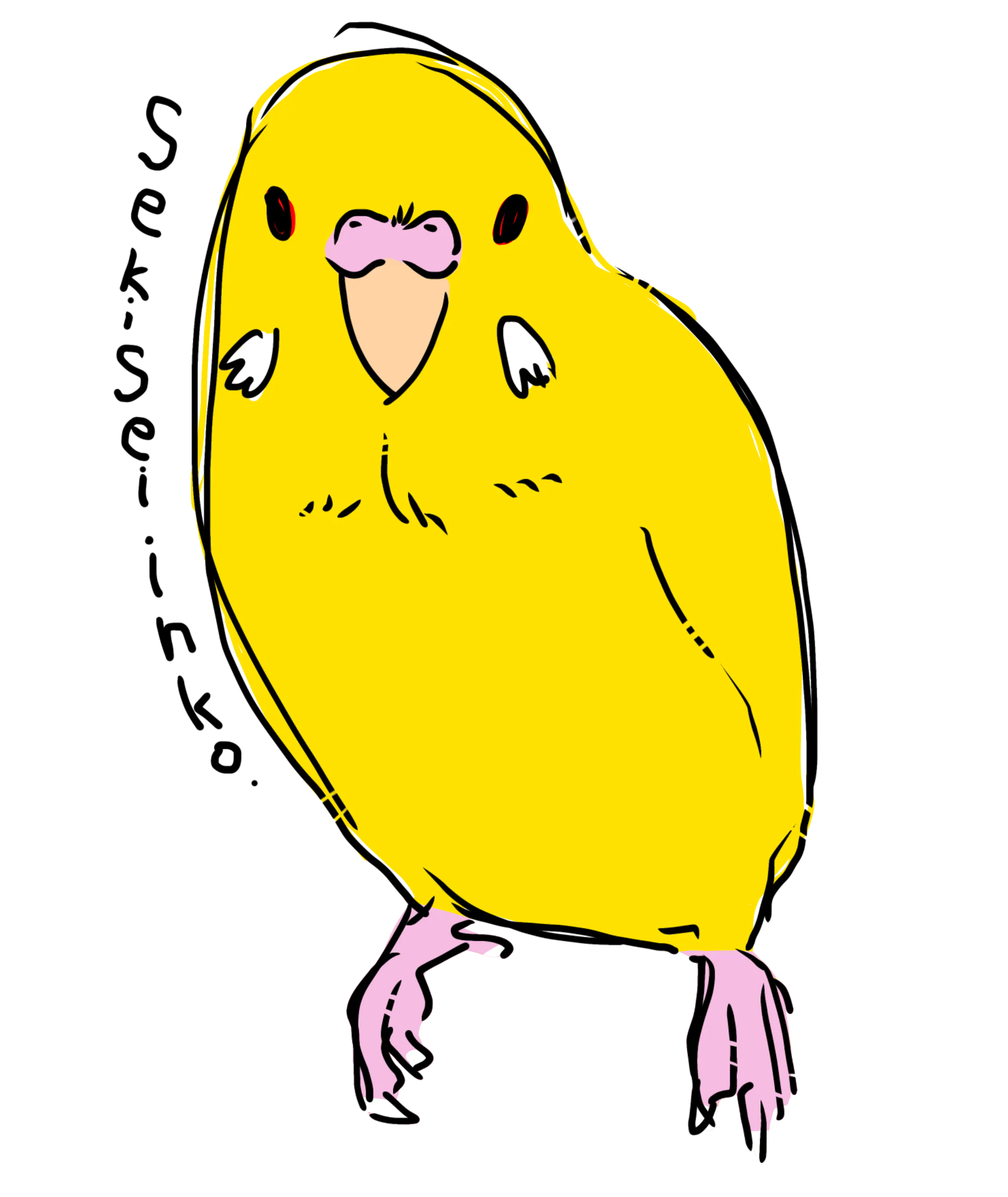 セキセイインコ ルチノー