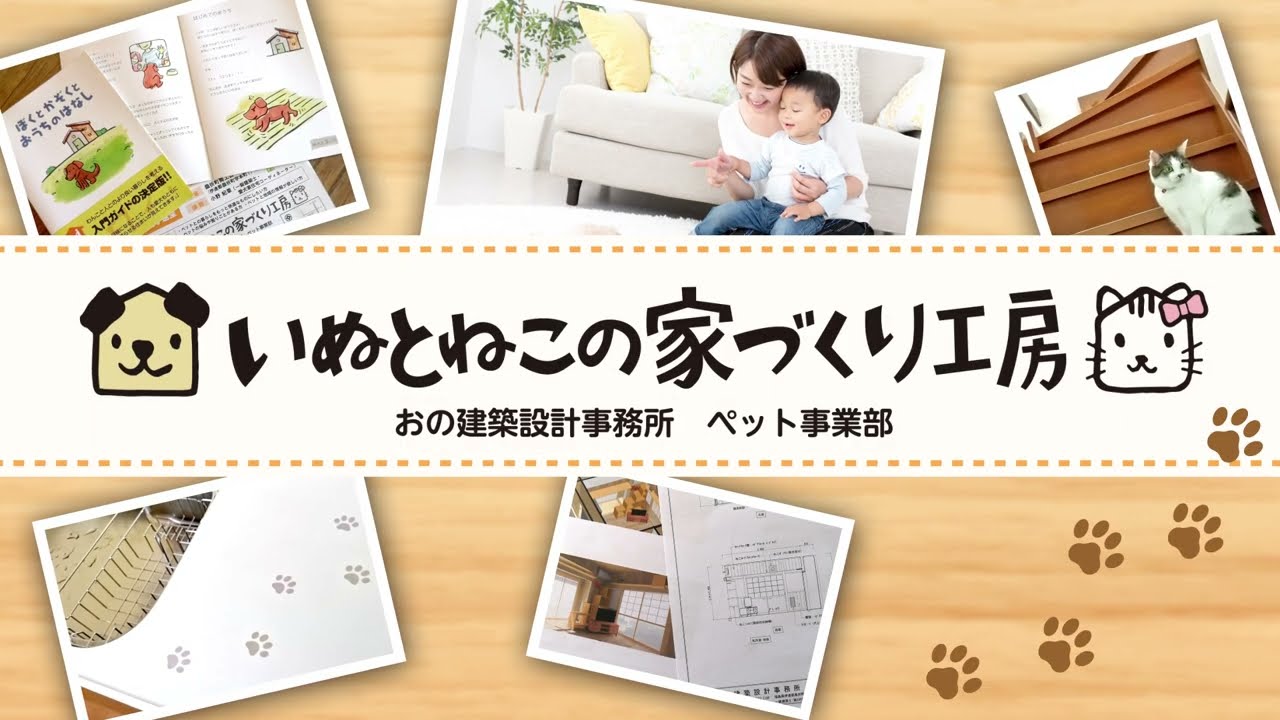 お菓子づくり、ねこ