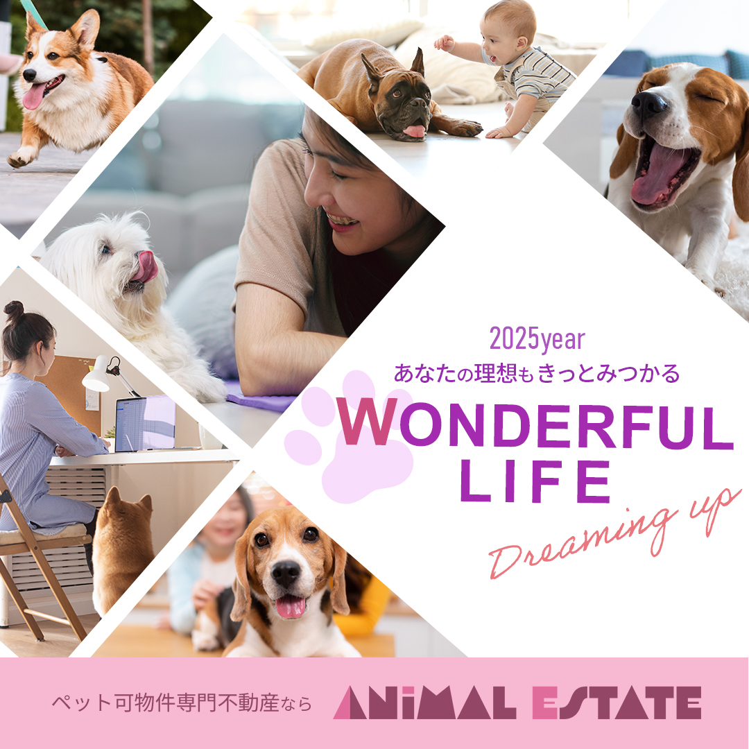 バナー_202508-03-1