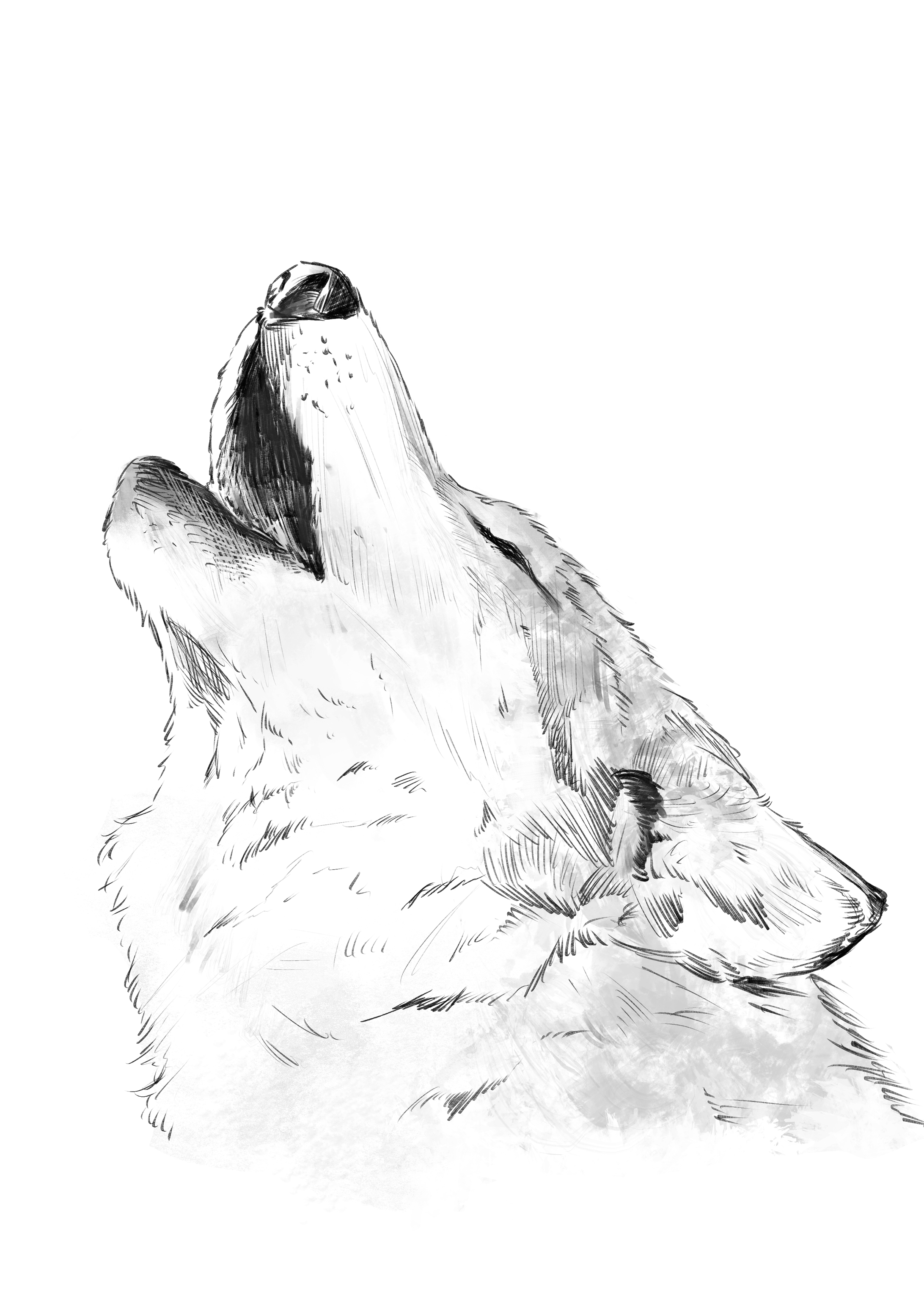 イラスト イラスト