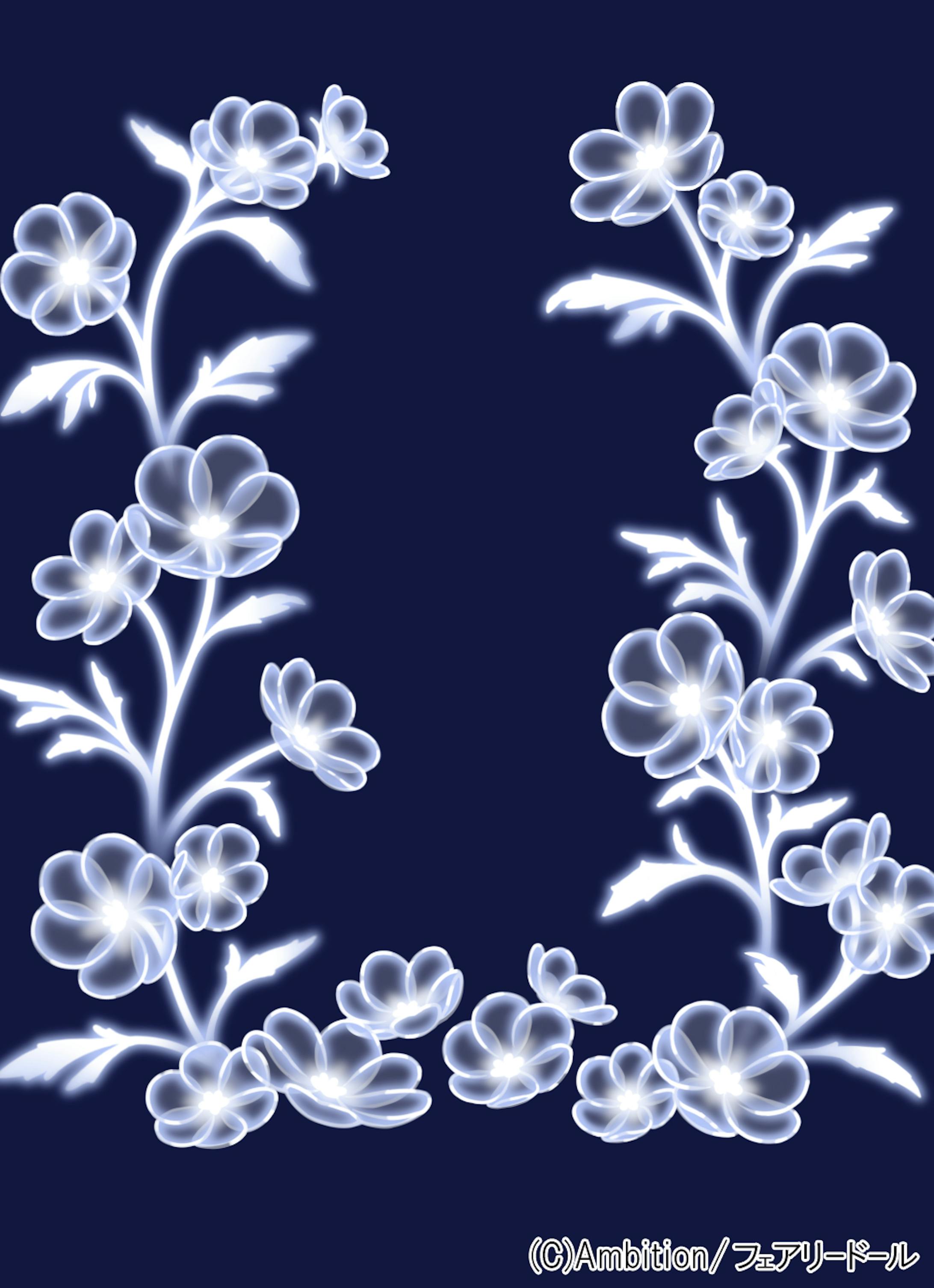 フェアリードール　海に咲く花-2
