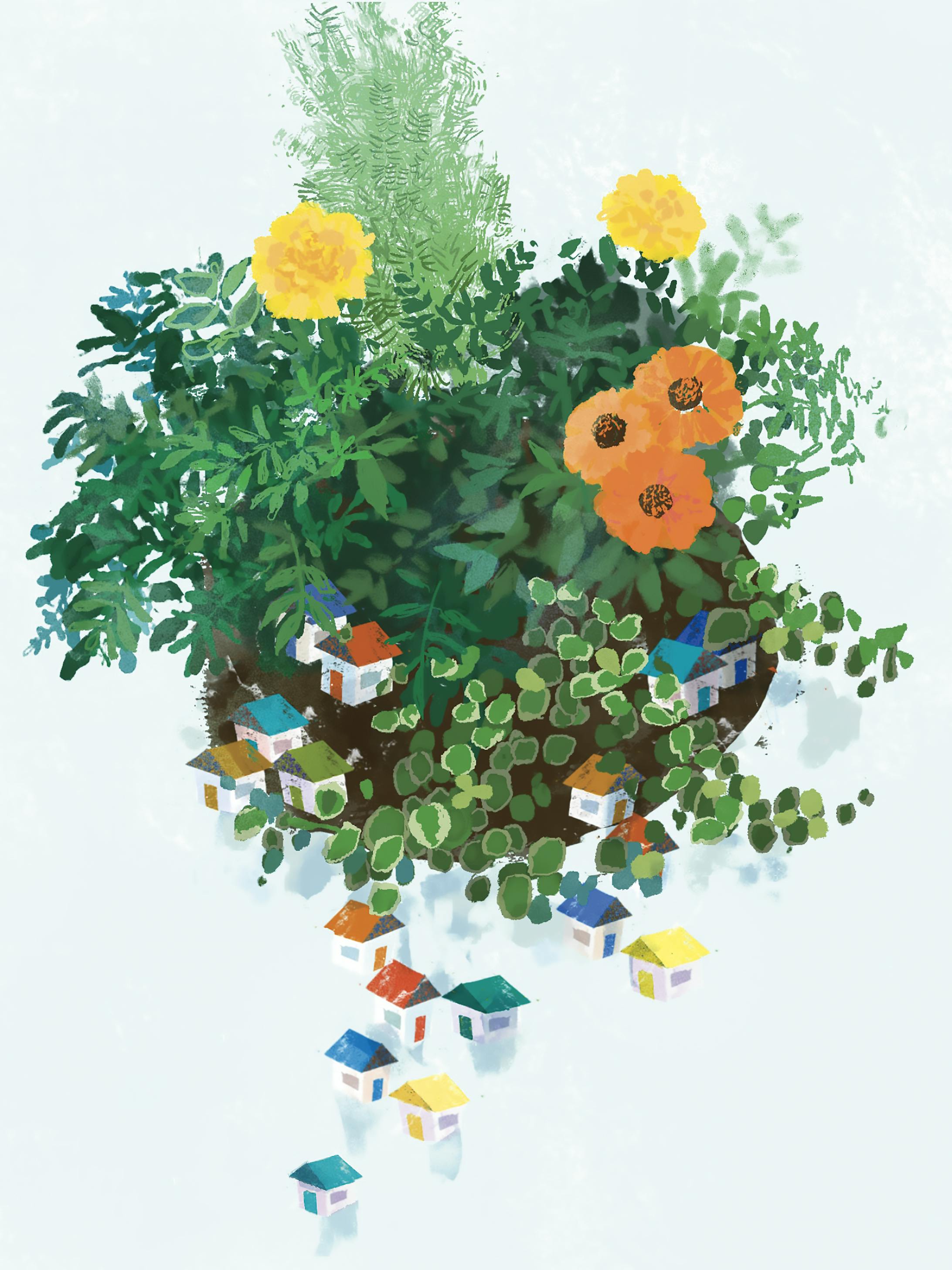 家の花-1