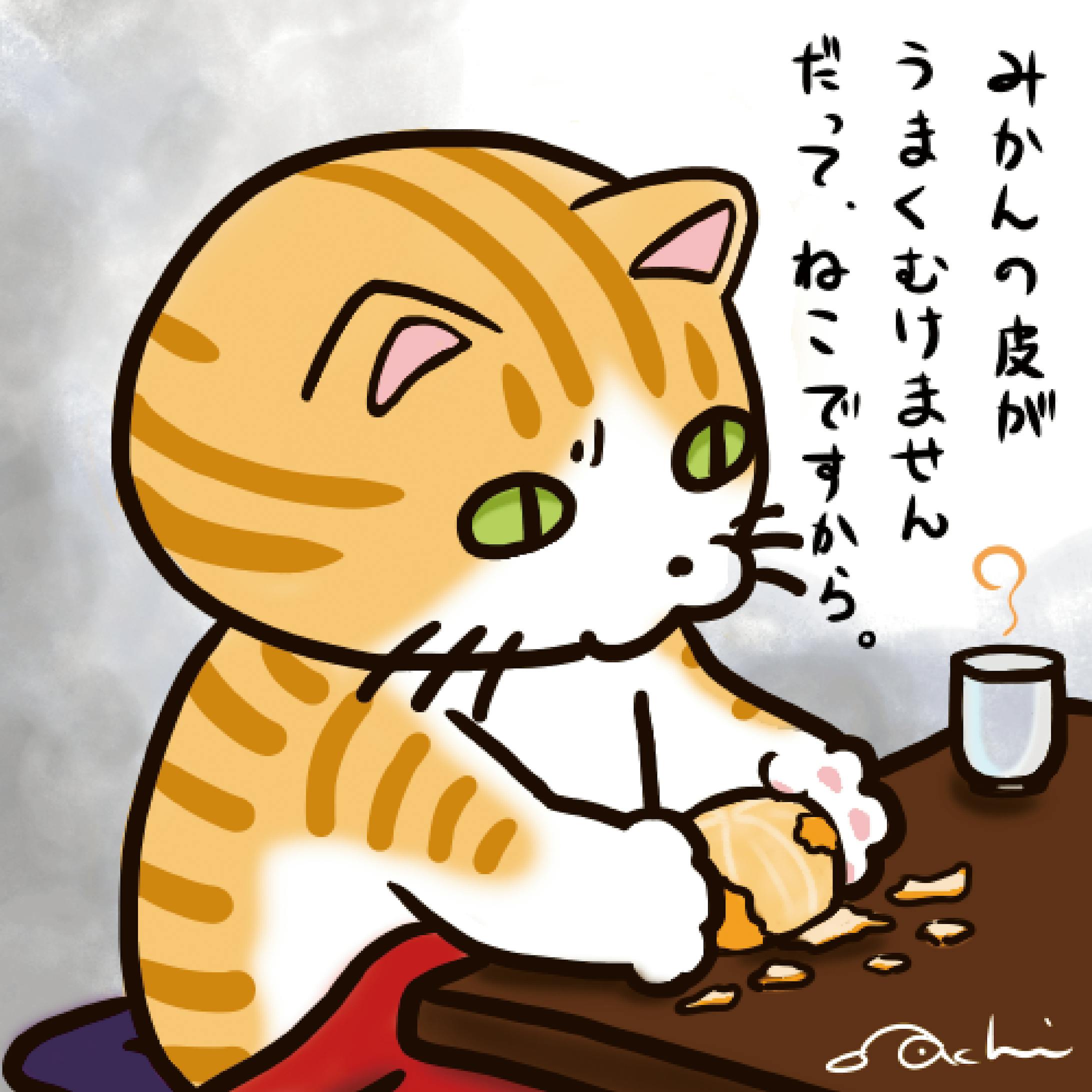みかんの皮-1