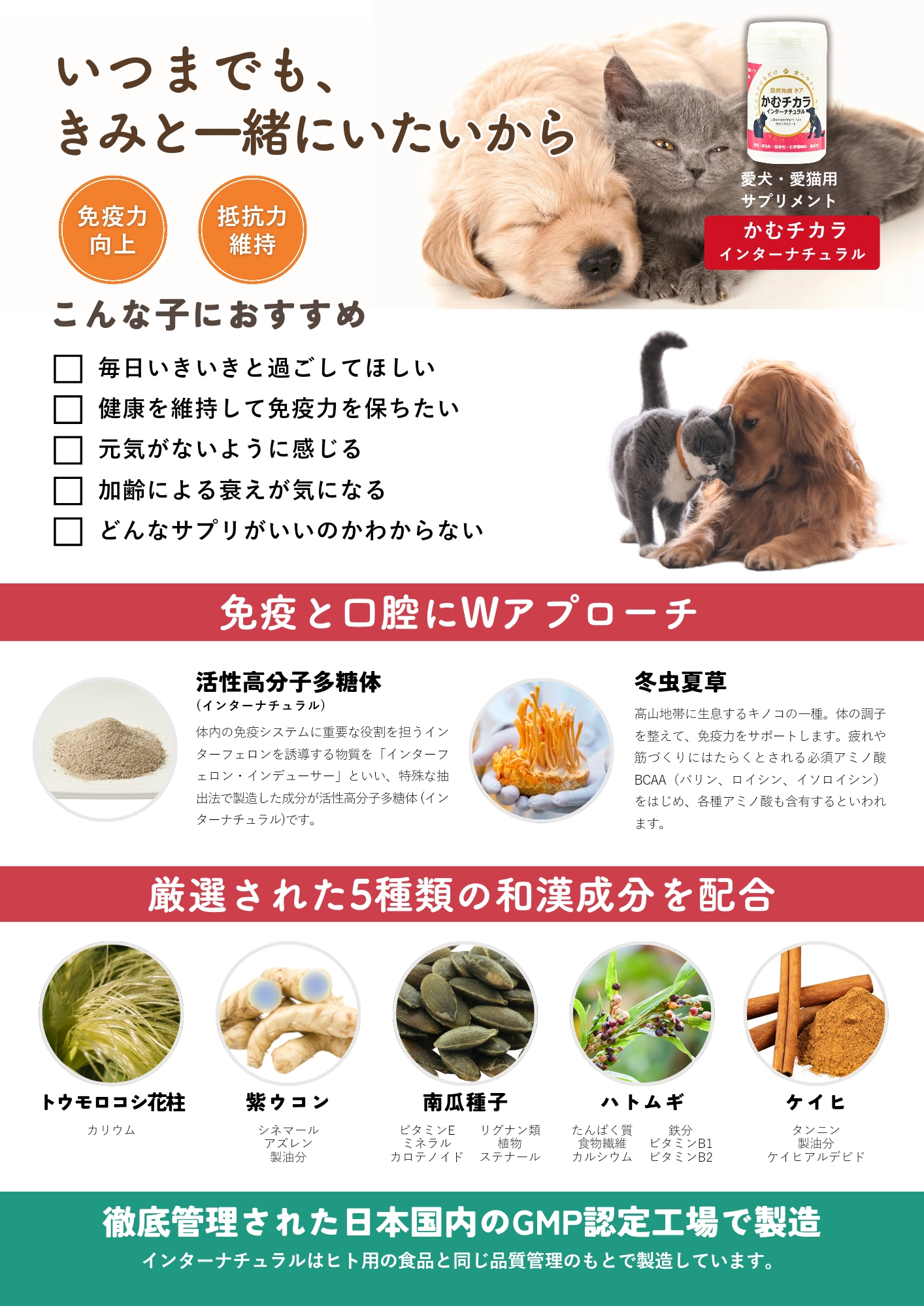 フライヤー各種-1