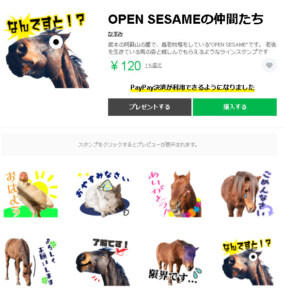 初回限定 open sesami様 savingssafari.com