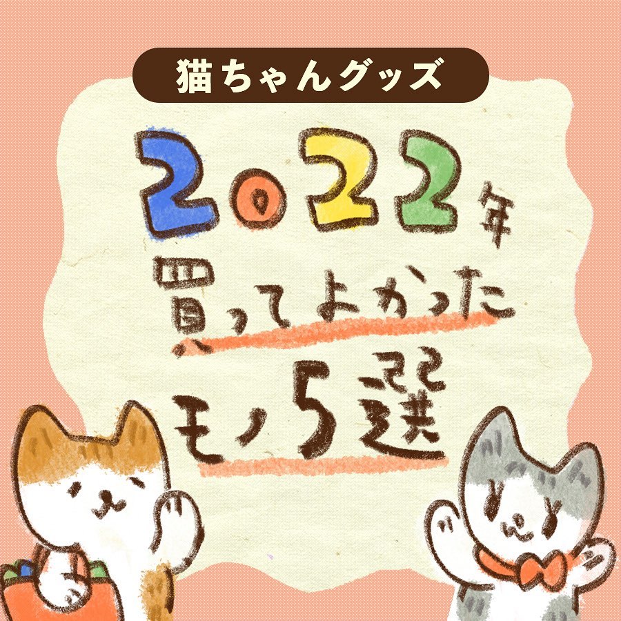 我が家の買ってみてよかった猫さまグッズでーす🐾 みんにゃのお家編も