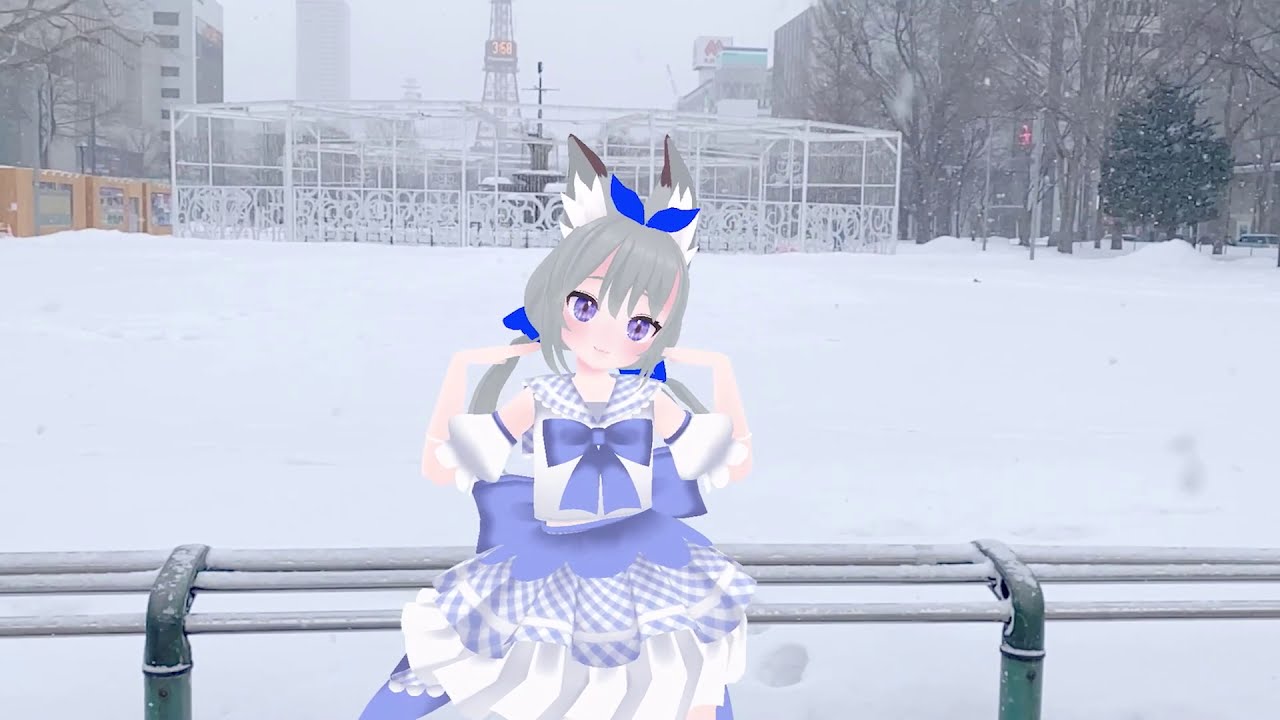 ビデオグラファー、icon