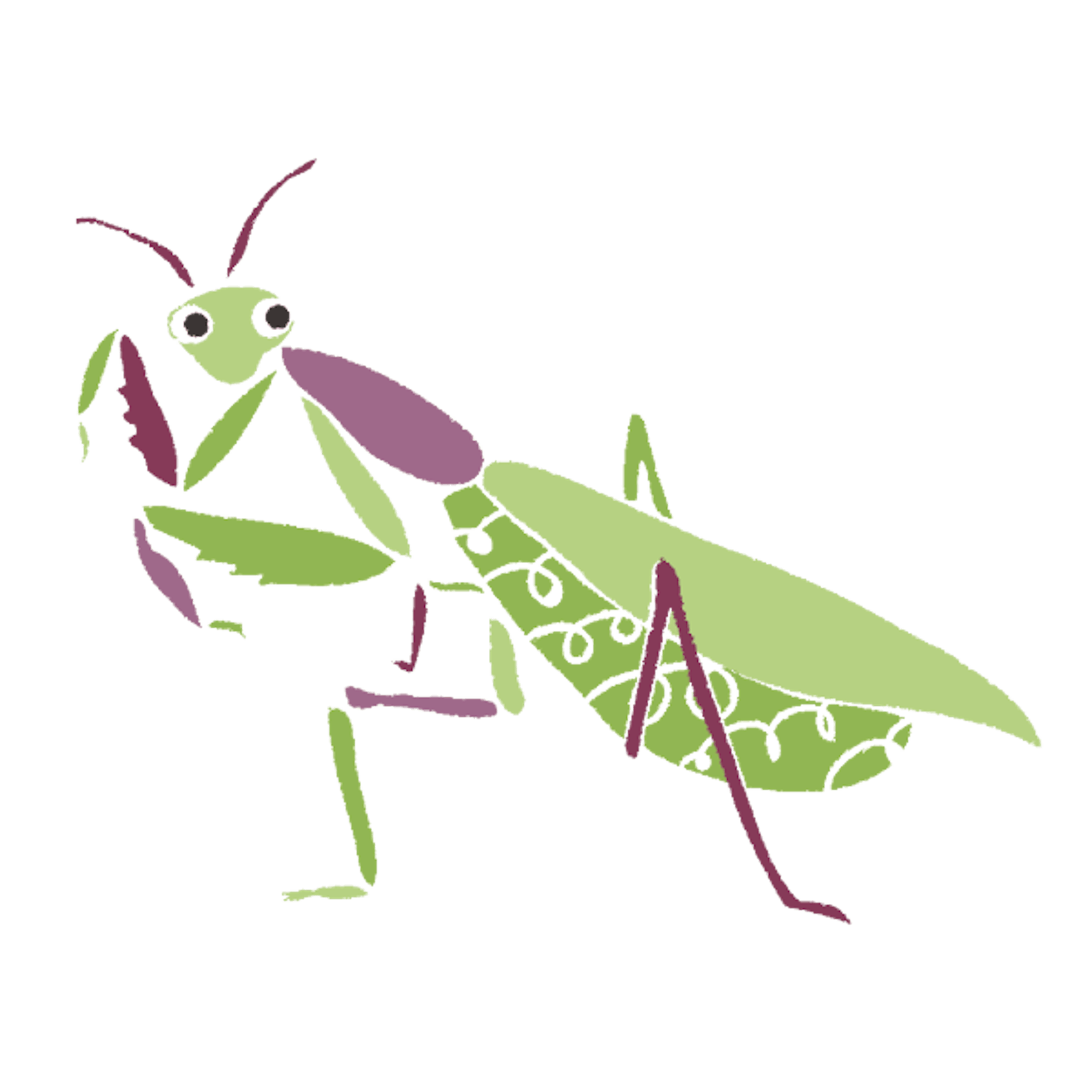 ボストン美術館/体感するファーブル昆虫展　 イベントグッズデザイン-1