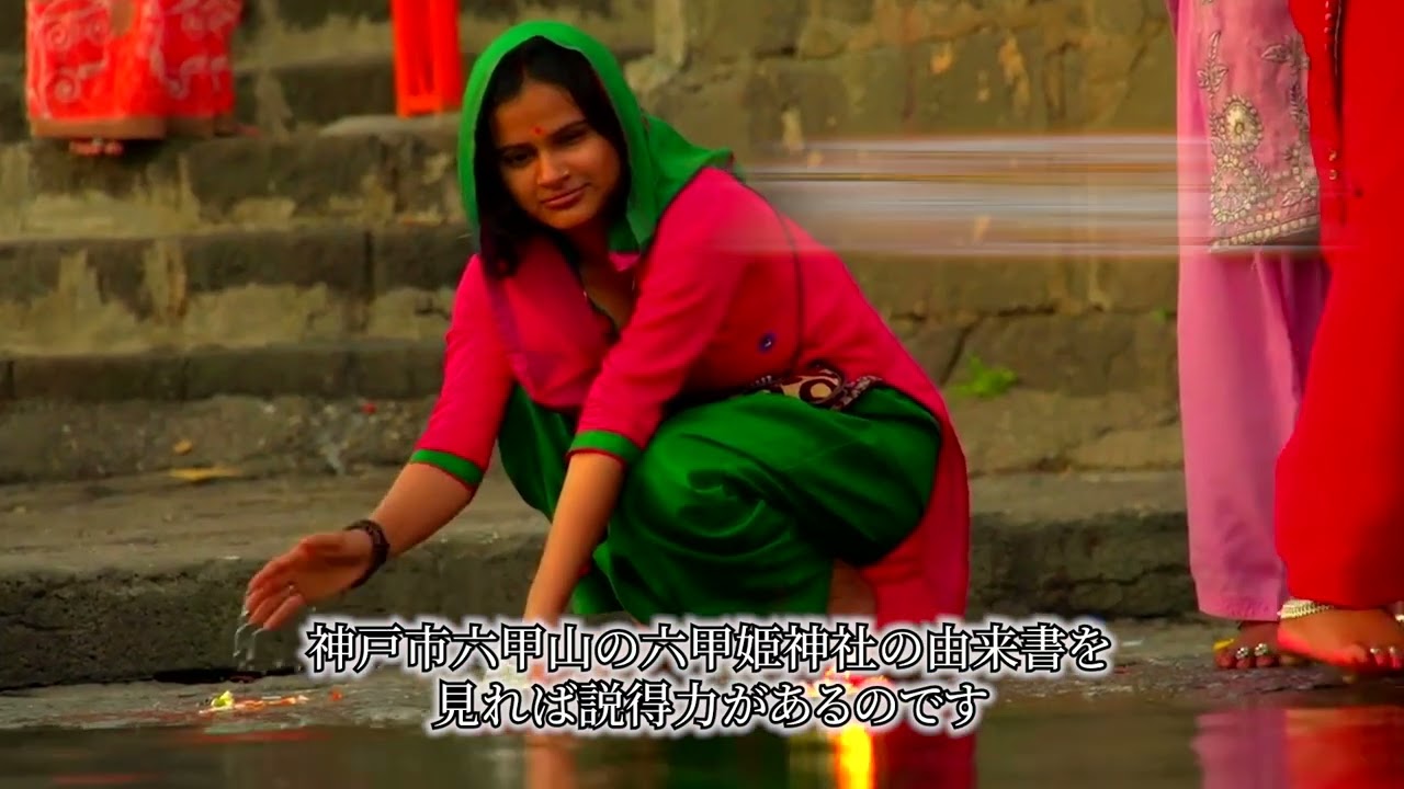 ズン、ポートフォリオ