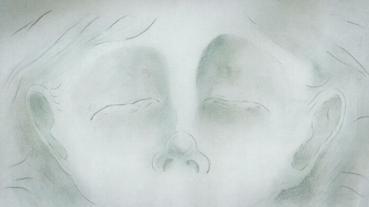 Sleeplessness/アニメーション作品