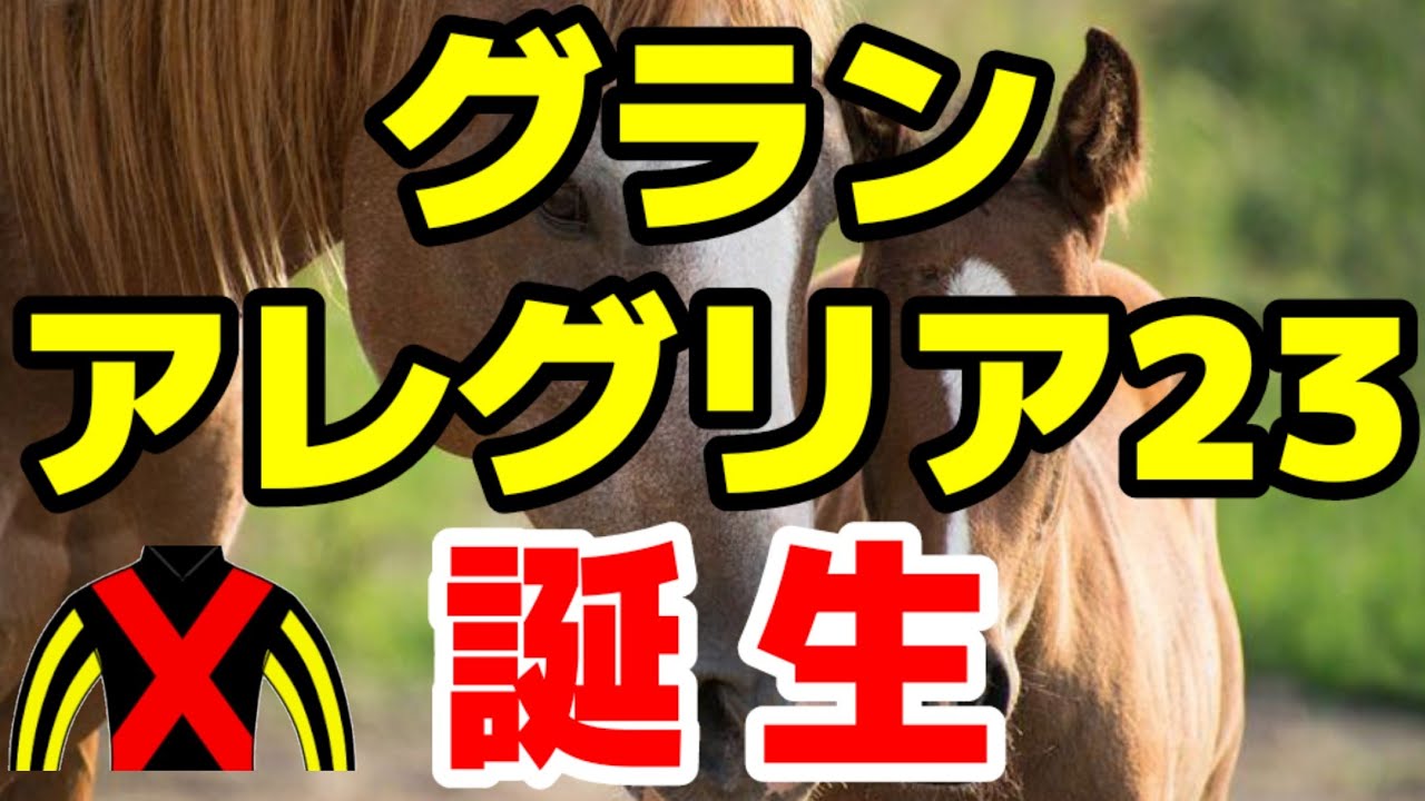 ライオン・キング、youtuber