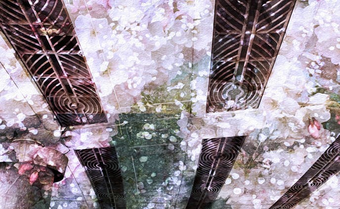 日本橋の天井 「春〜Cherry blossoms〜」