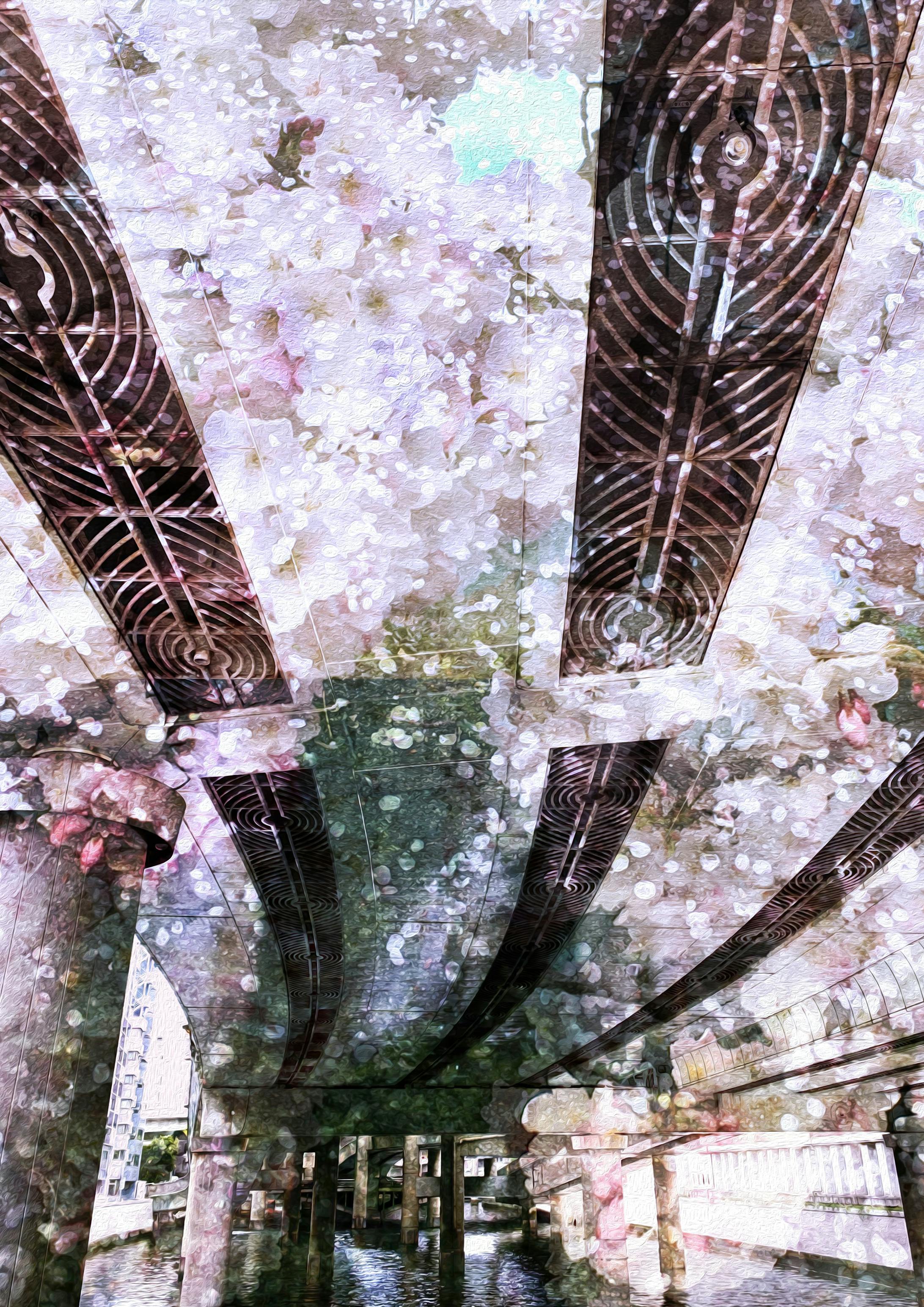 日本橋の天井 「春〜Cherry blossoms〜」-1