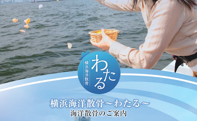 Shanyu810 Foriio Shanyu810 Foriio