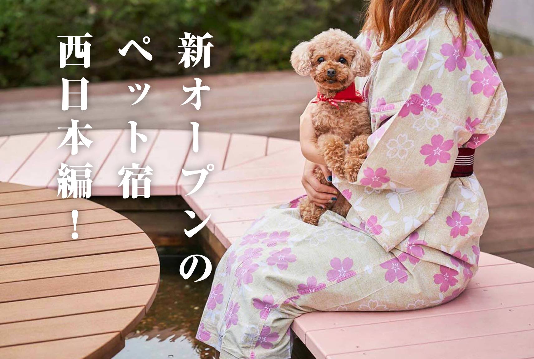 2021年、ペット