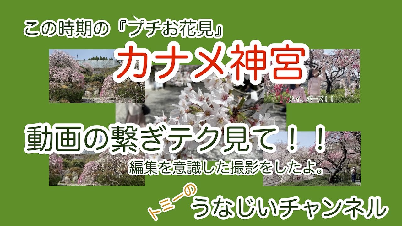映像ディレクター、効果音