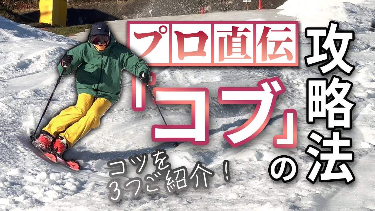 株式会社アピシェ・ジャパン様