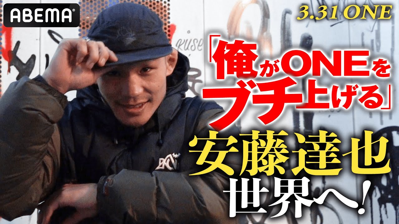 pv、バラエティ