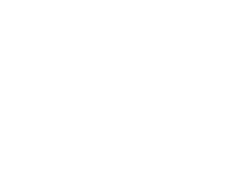 プログラミング、声優