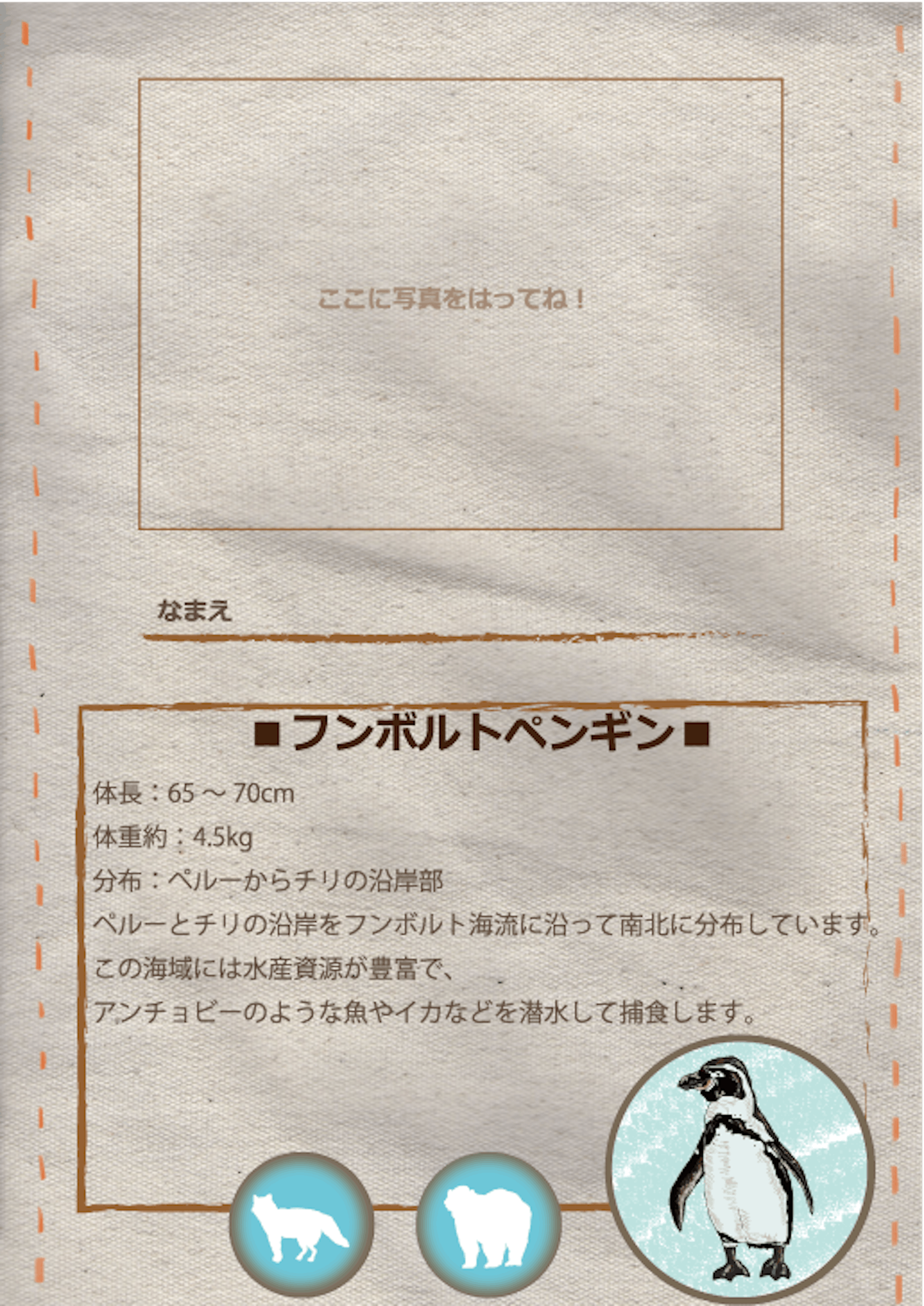 Pzooワークショップ Pzooワークショップ