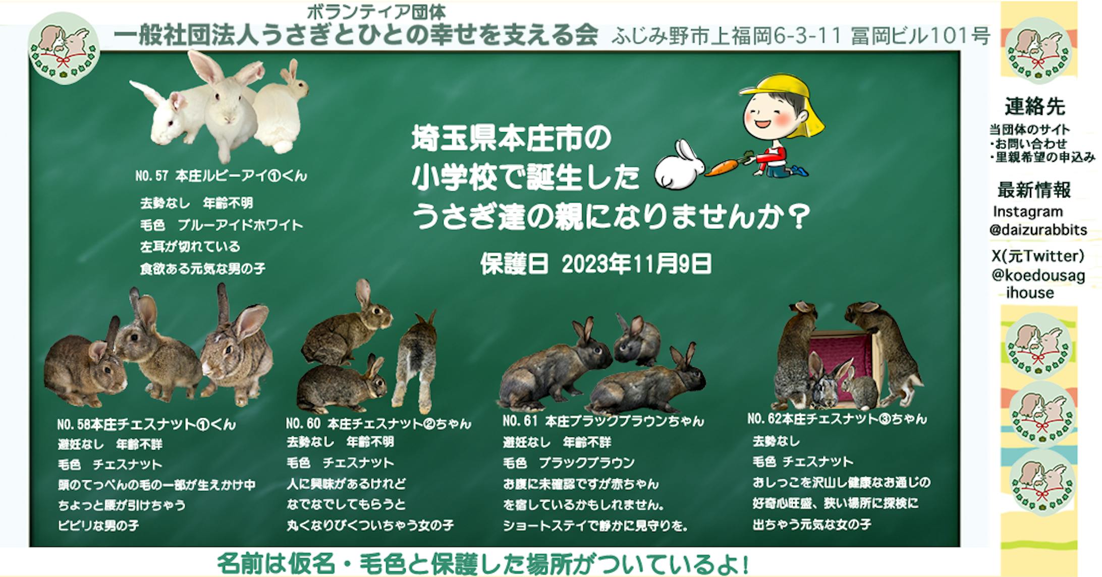 小学校保護うさぎ里親募集566X1080サイズ-1