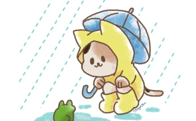 雨