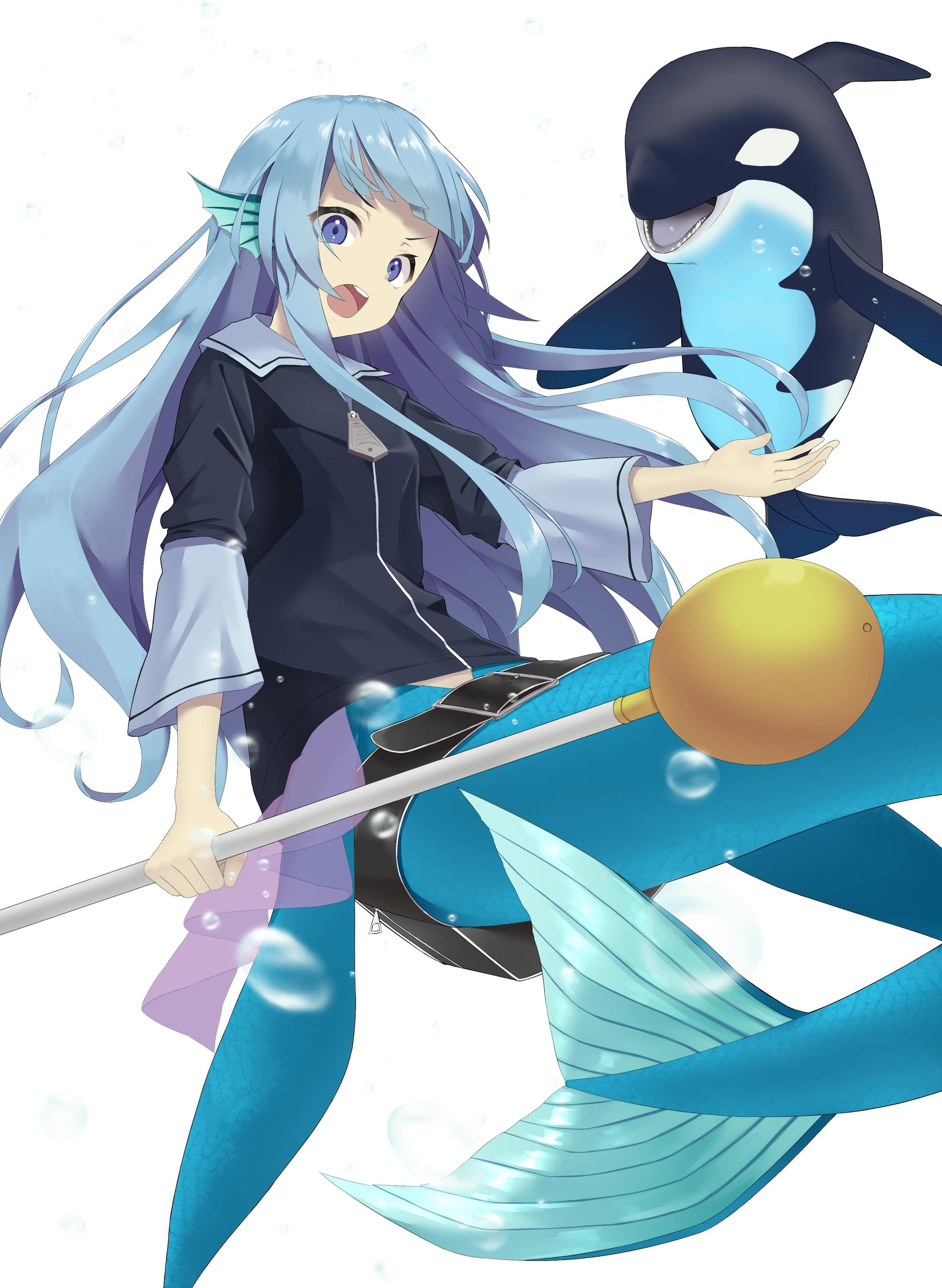 コンぺイラスト-1