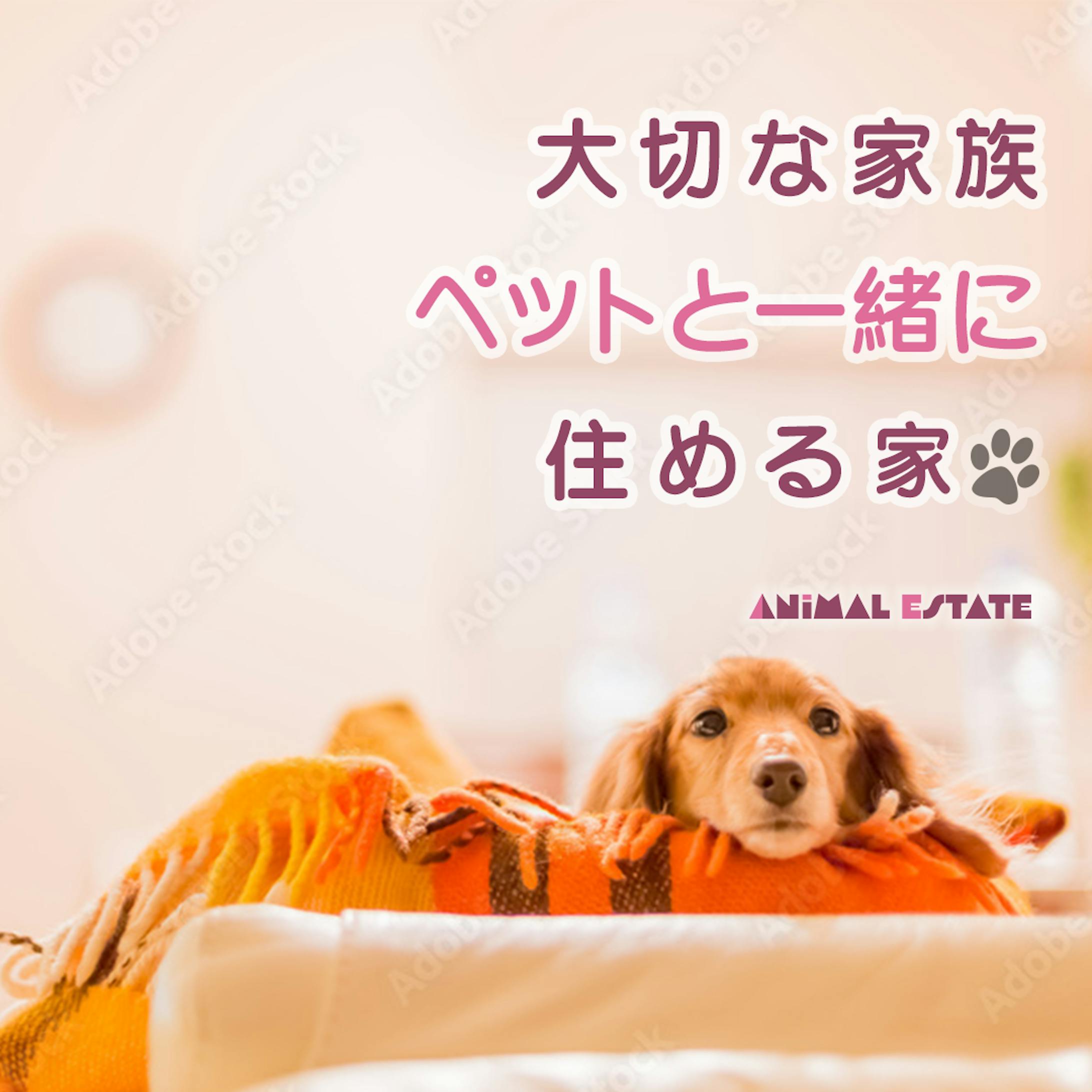 犬と暮らせる賃貸を探している人-1