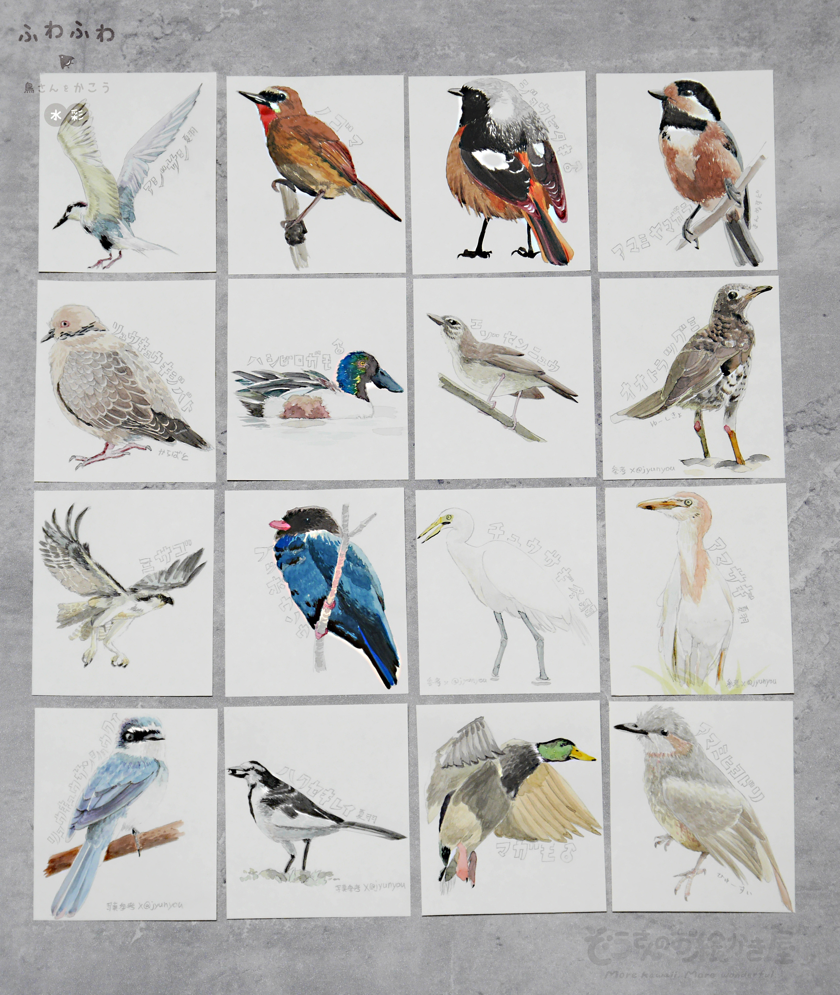 いきものイラスト