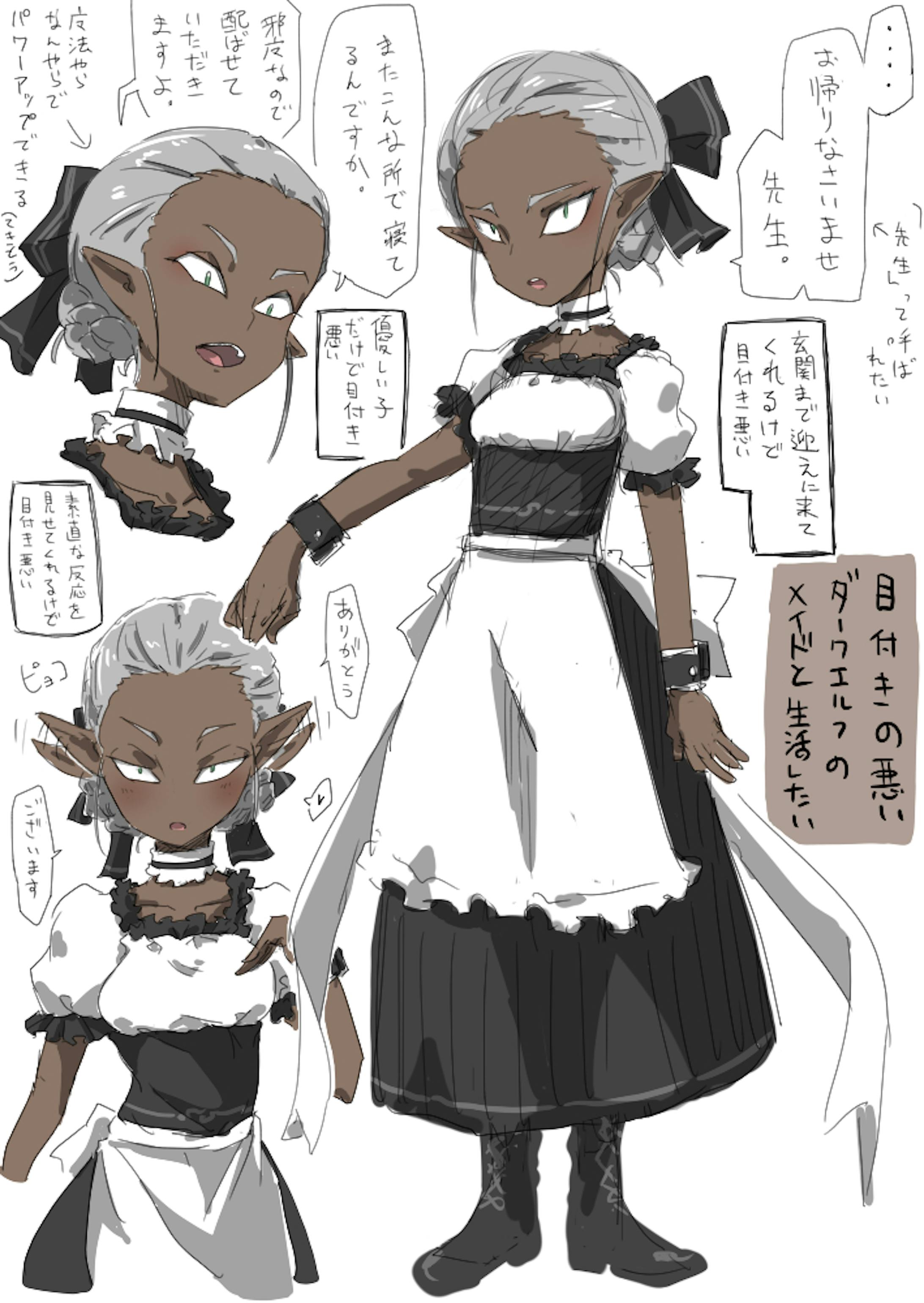 目付きの悪いダークエルフのメイドと生活したい 目付きの悪いダークエルフのメイドと生活したい