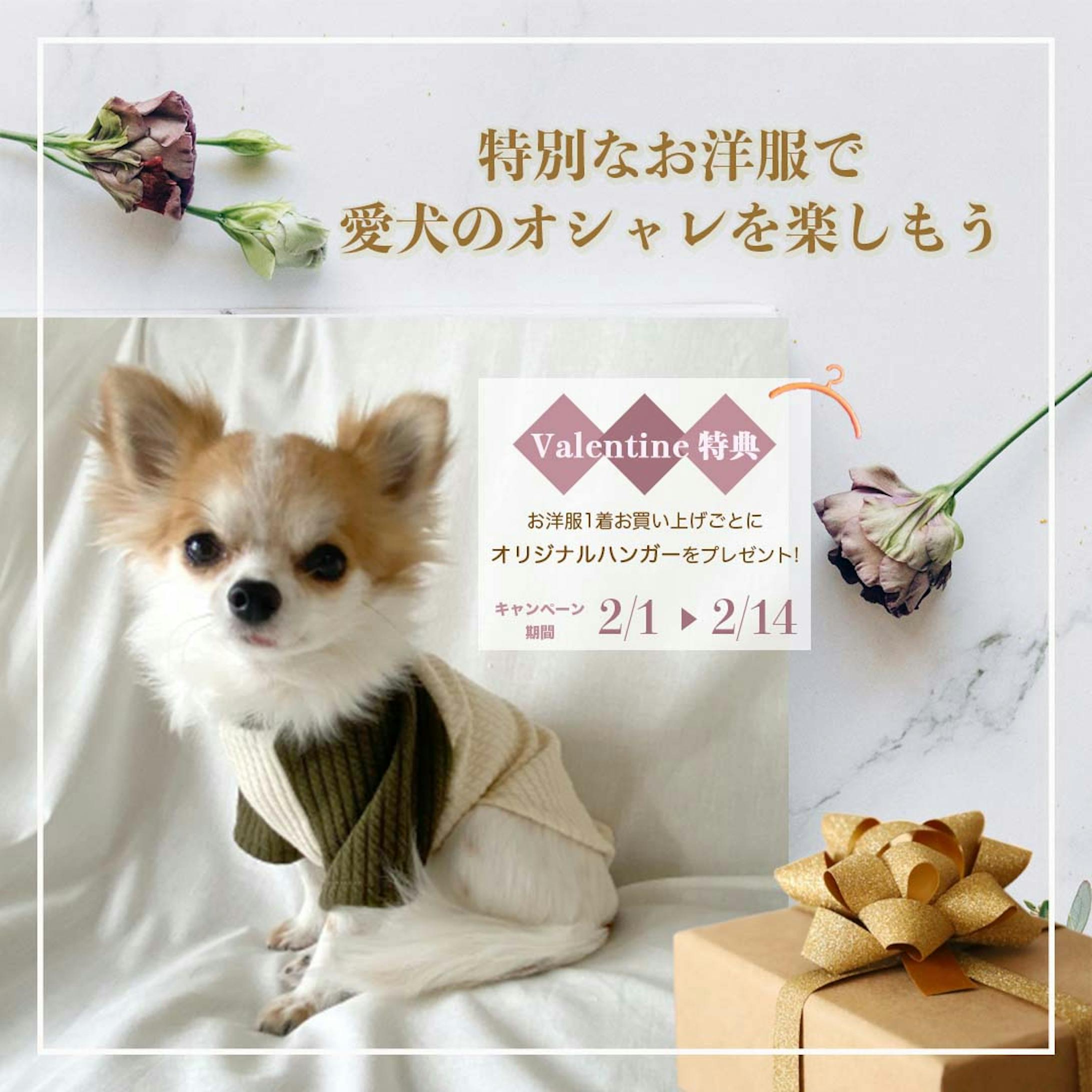 DogWearバナー-1