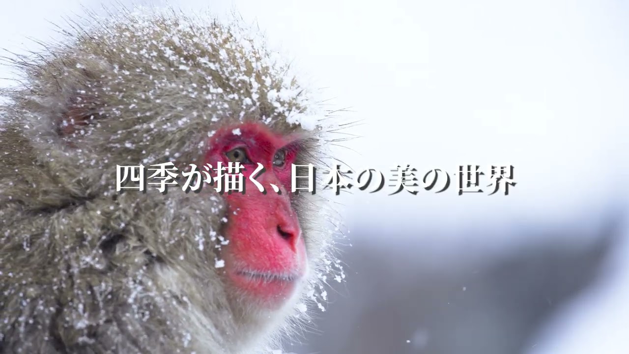 日本紹介サンプル