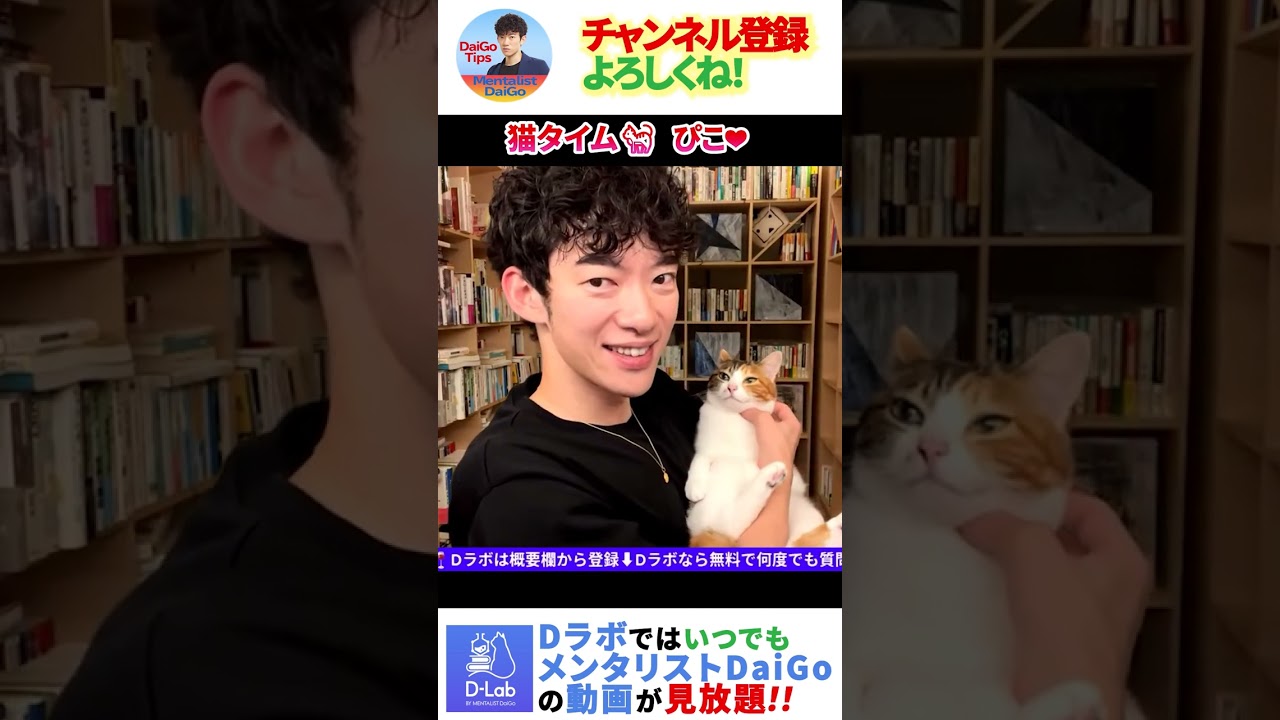 猫タイム ぴこさん