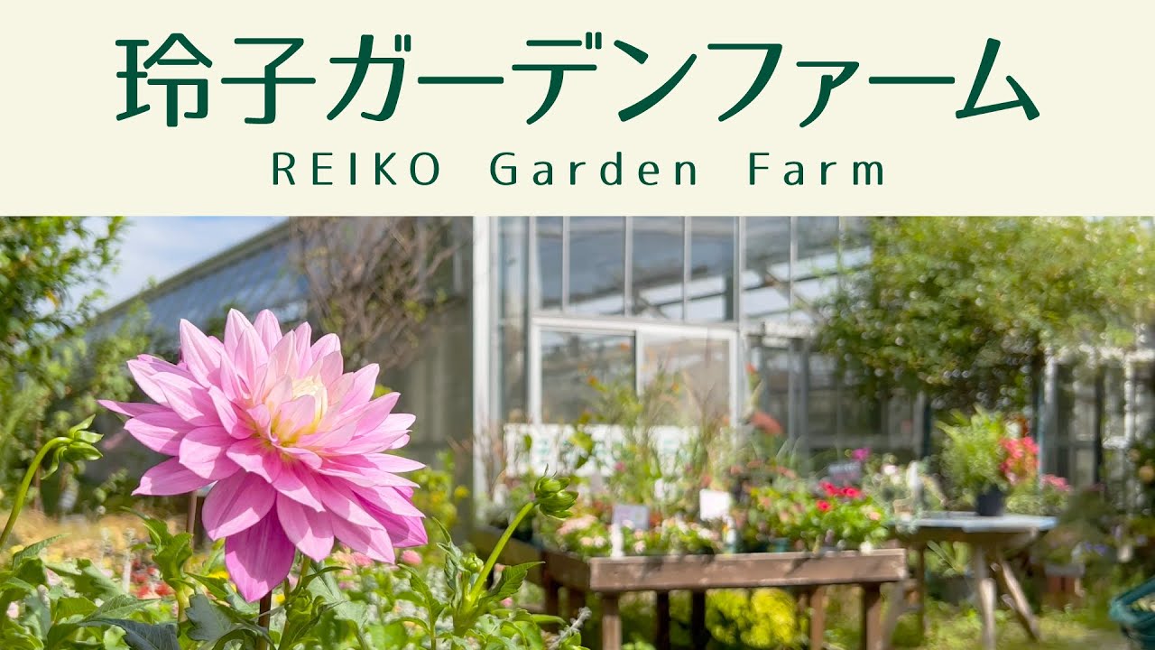 植物とともに暮らす幸せな時間【玲子ガーデンファーム】