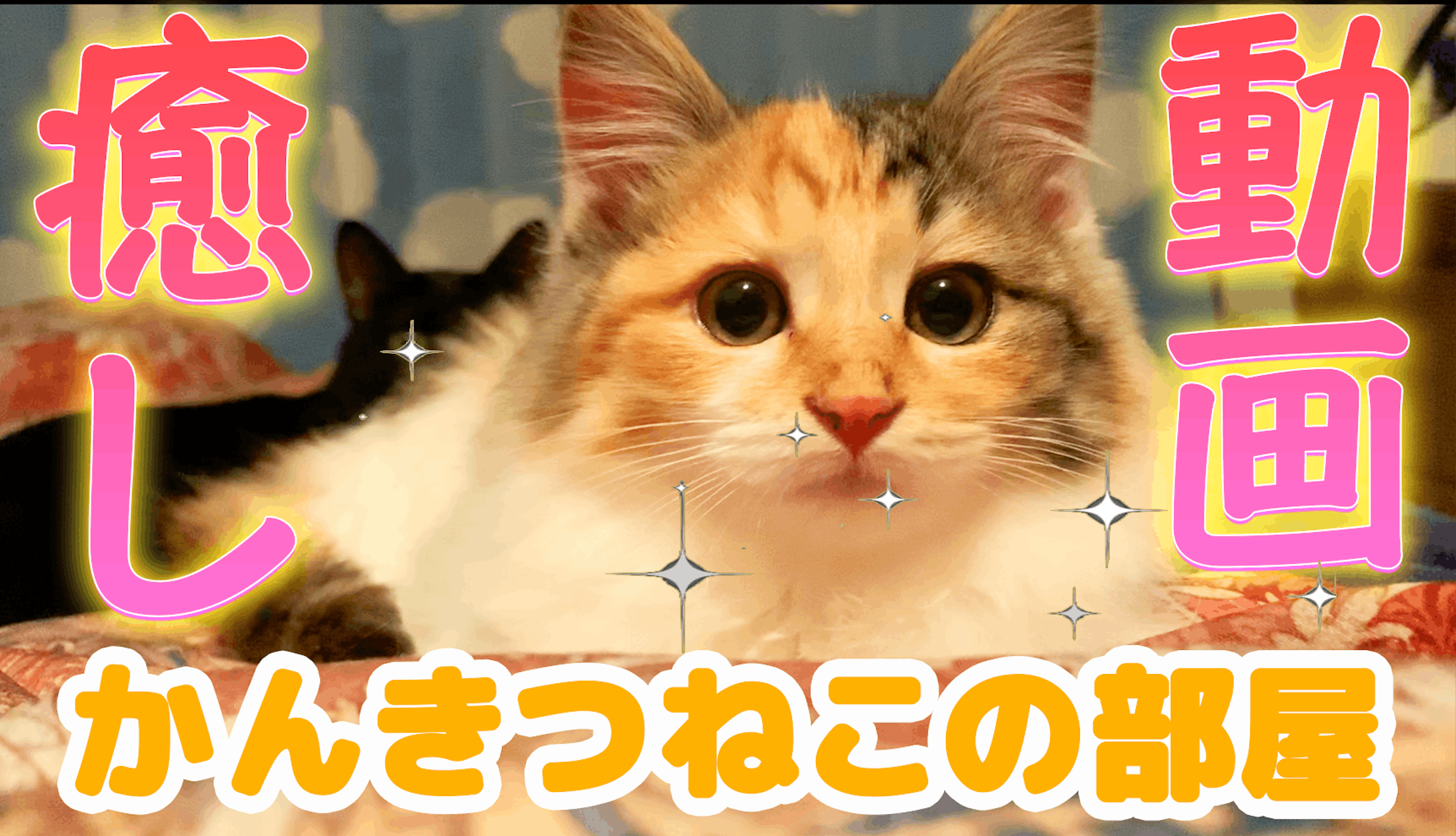 癒し系　サムネ-1