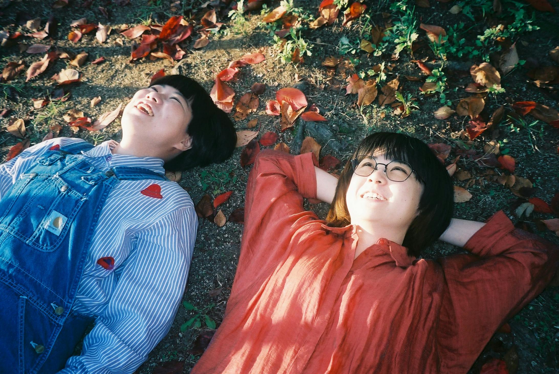 にぼしいわし「月刊NIBOIWA」