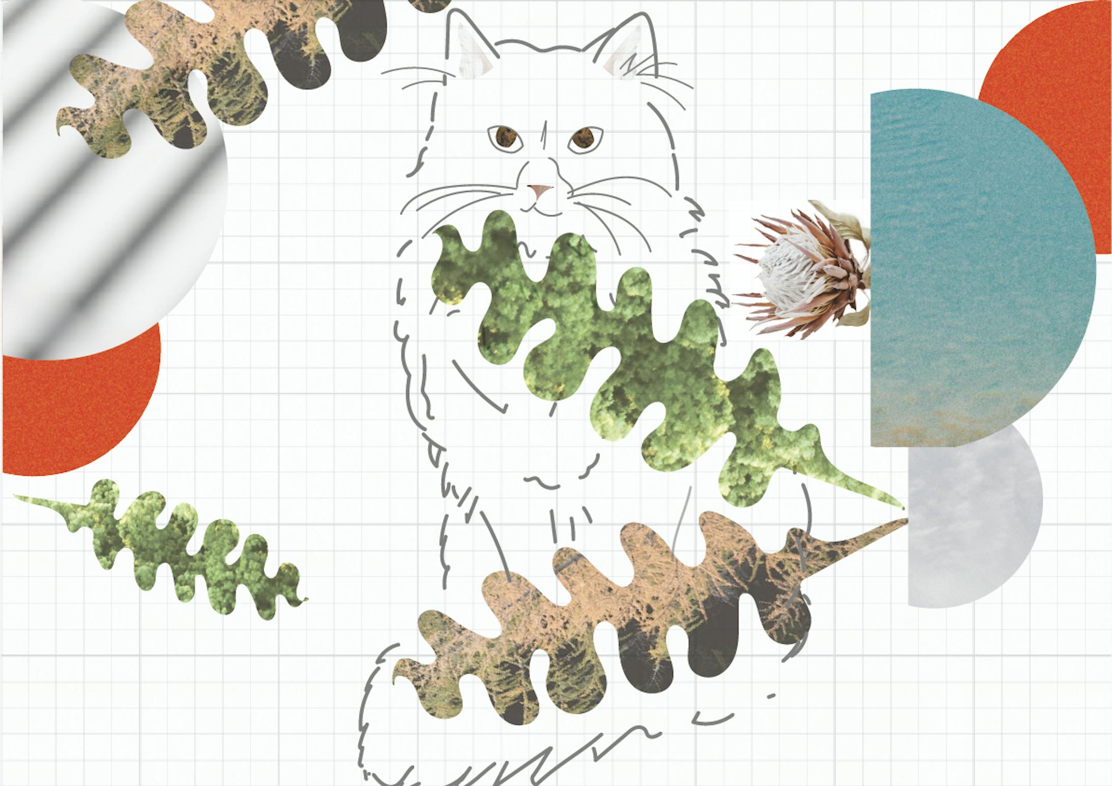 コラージュ イラスト コラージュ イラスト