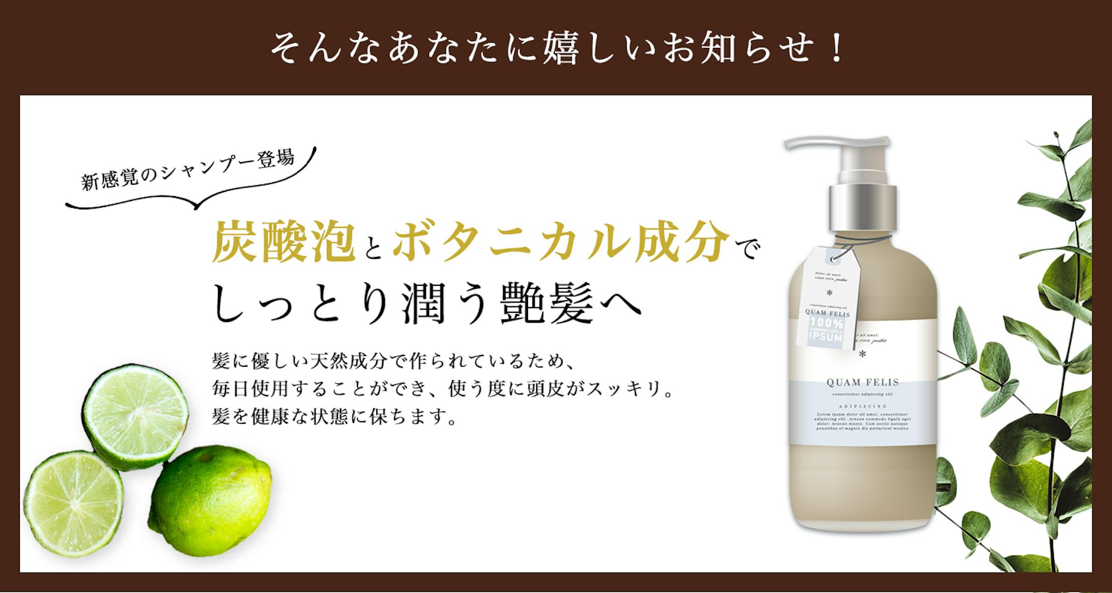 【課題】シャンプーバナー-1